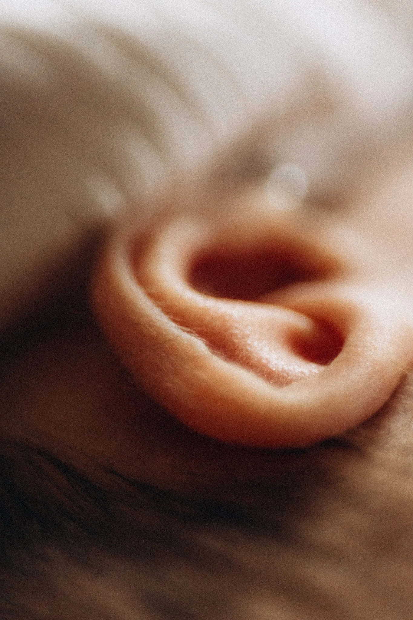 Detail ucha miminka při klidném focení doma