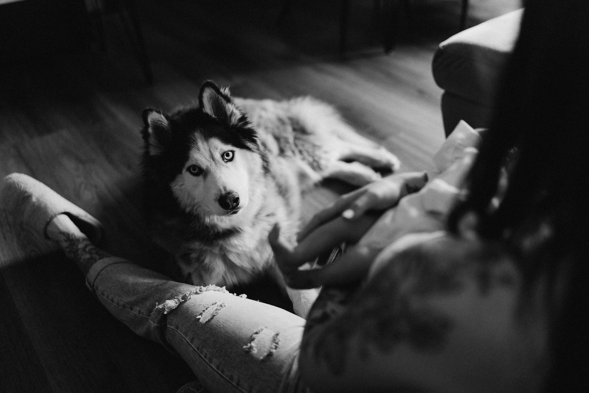 Přirozené rodinné focení doma s novorozencem a pejskem