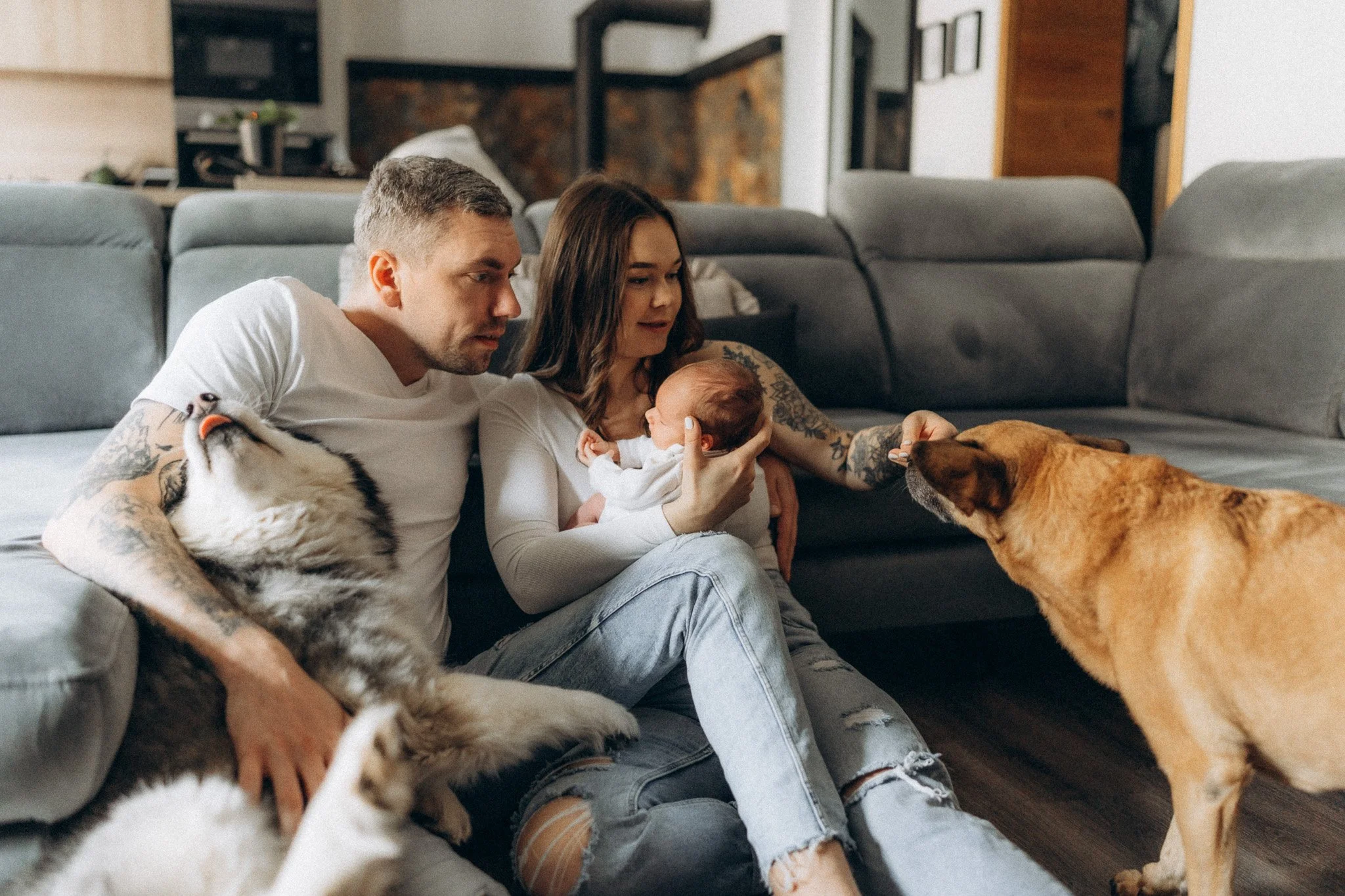 Novorozenecké focení doma s rodiči, miminkem a dvěma pejsky