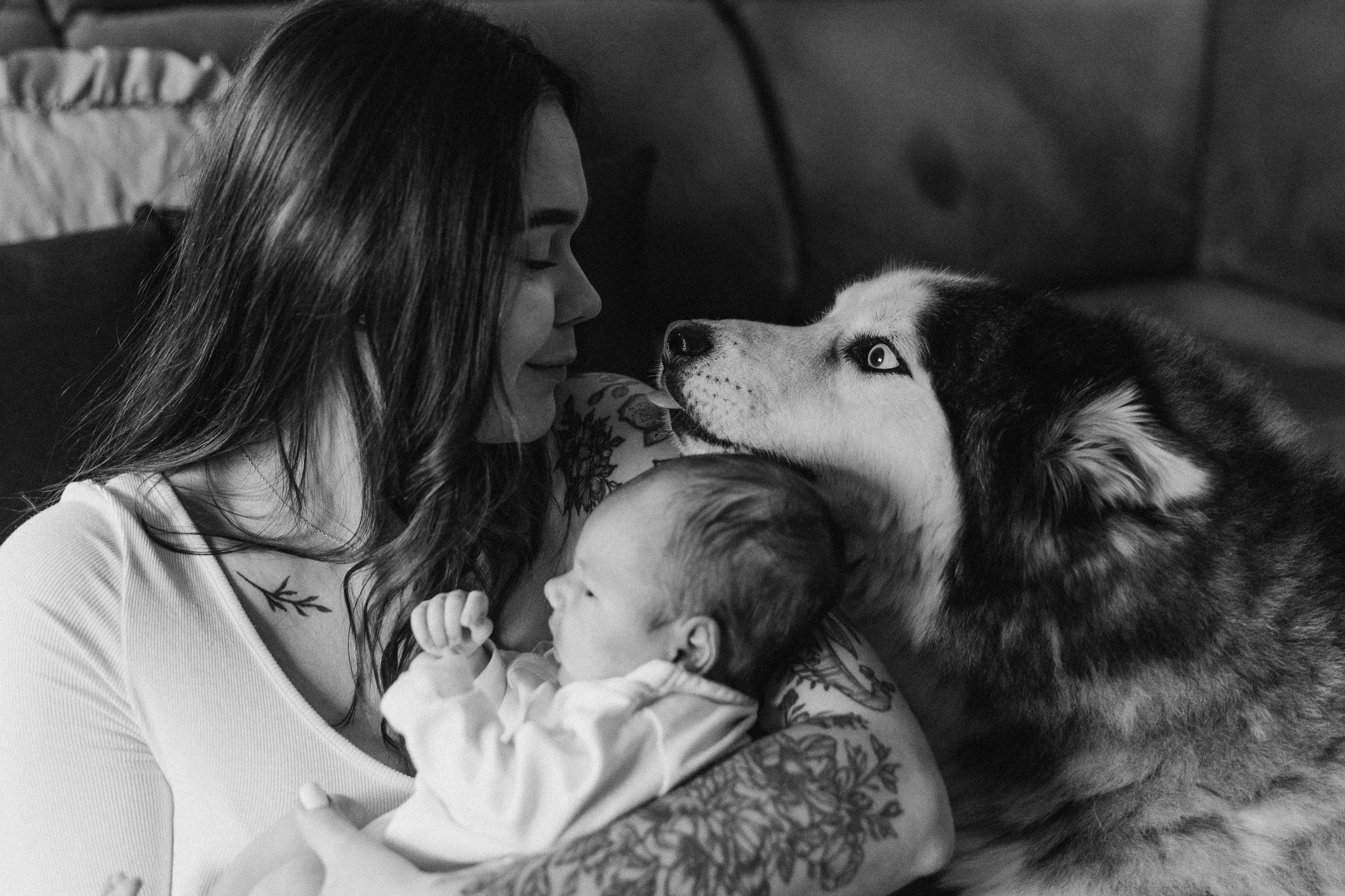 Rodinný moment s miminkem a čtyřnohými členy rodiny