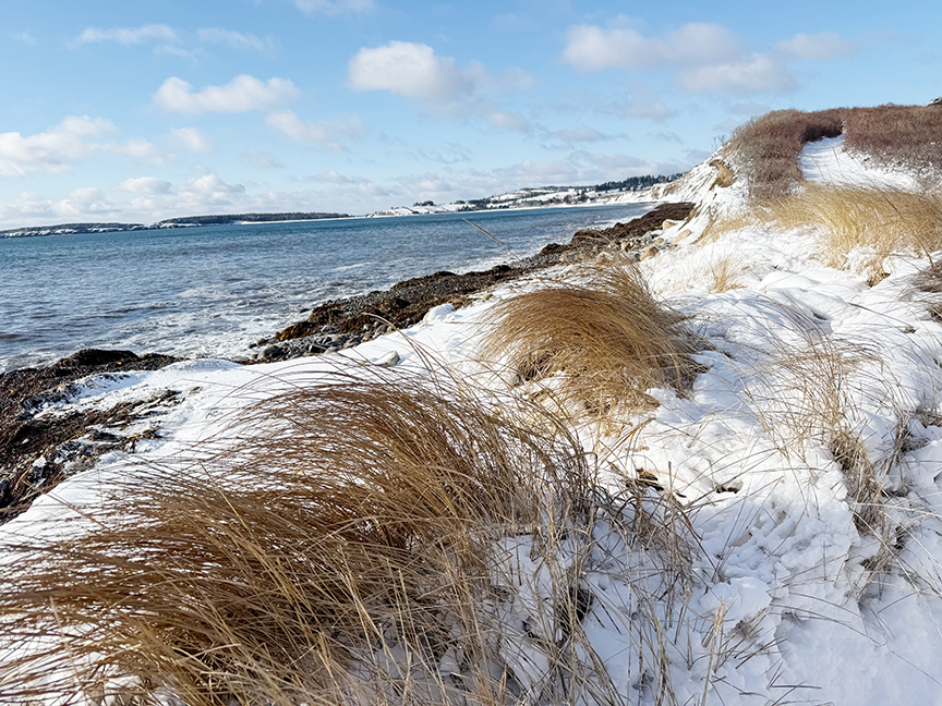 winter snow_2026.png