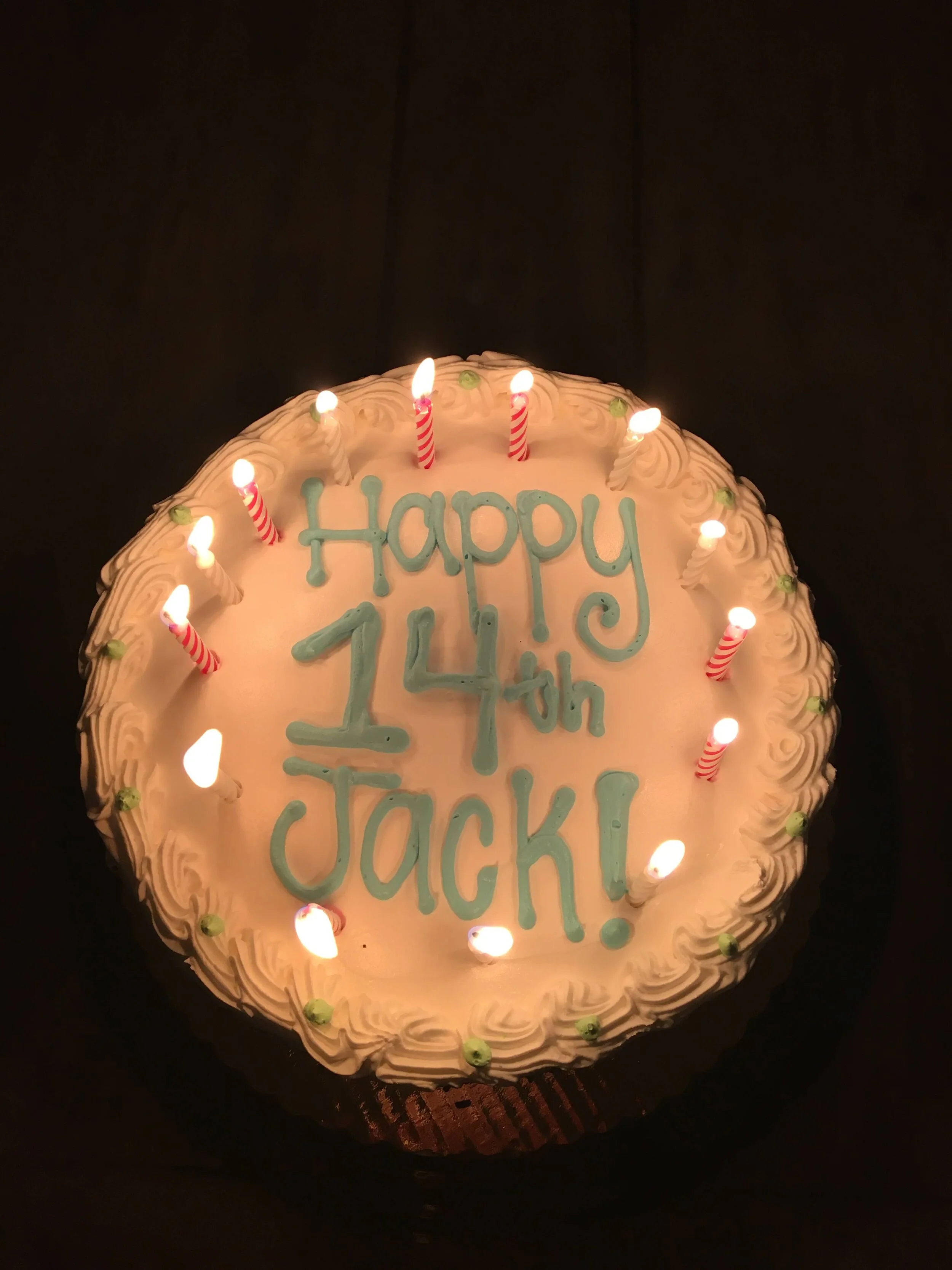 Bedford Farms Custom Ice Cream Cake 1 homemade MA.jpeg