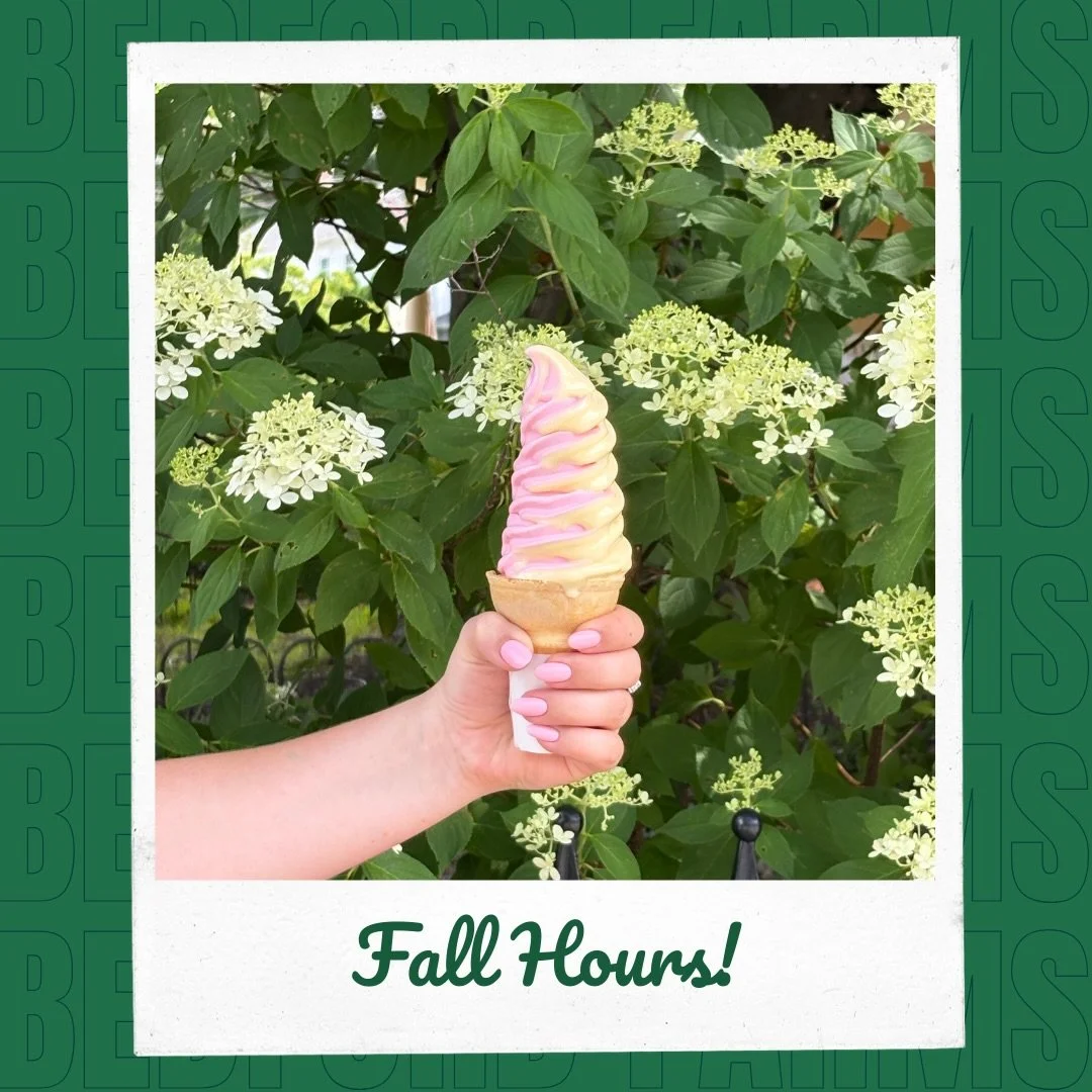 Labor Day hours!
Bedford shop open 12-9 | Concord shop open 3-9 

Fall Hours starting on 9/8:
Both shops will be open M-F 3-9 and Sat &amp; Sun 12-9