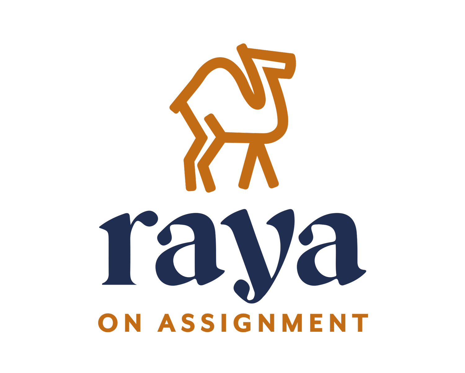 RAYA ON ASSIGNMENT