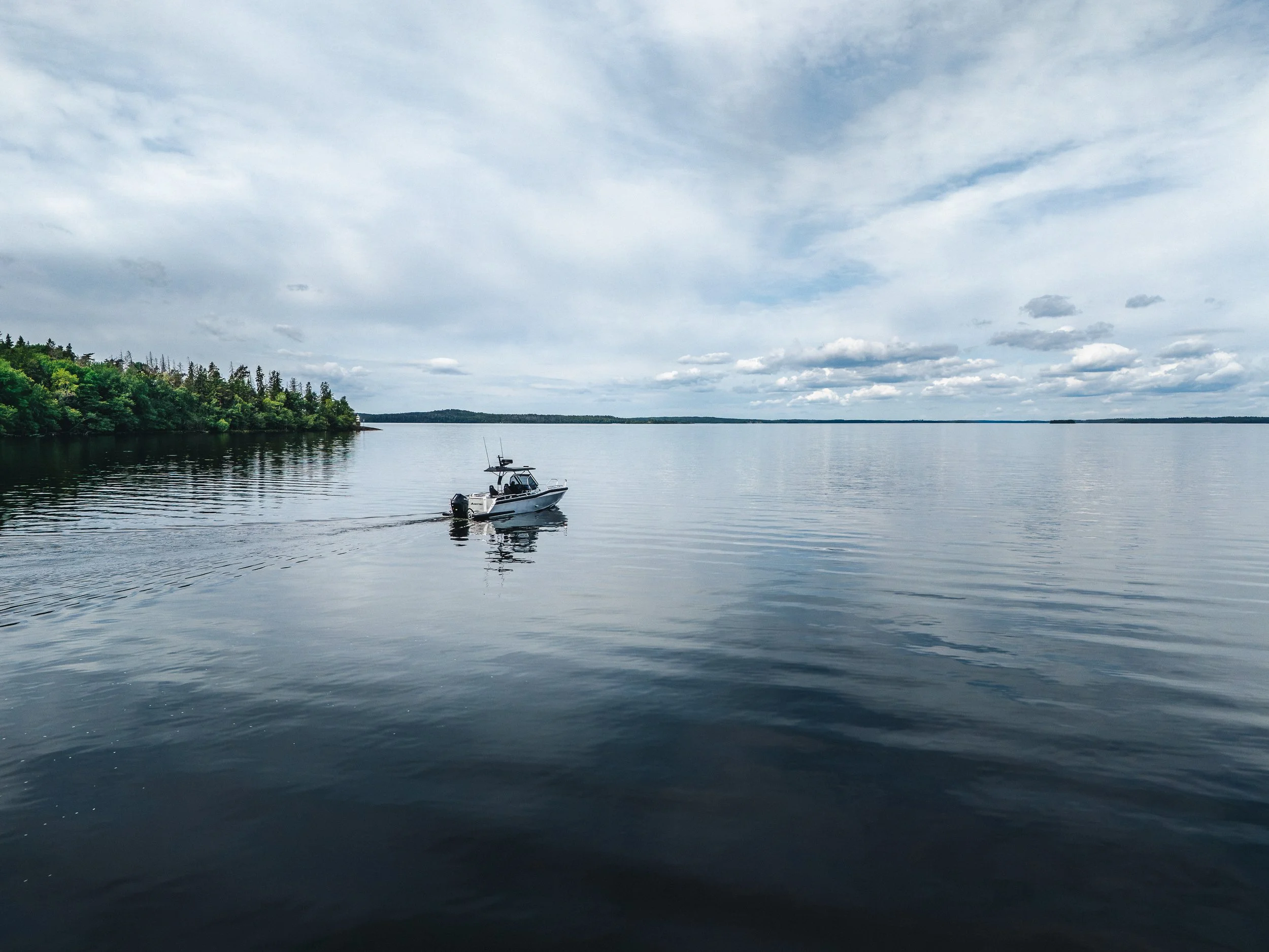DJI_20260602095659_0012_D.jpg