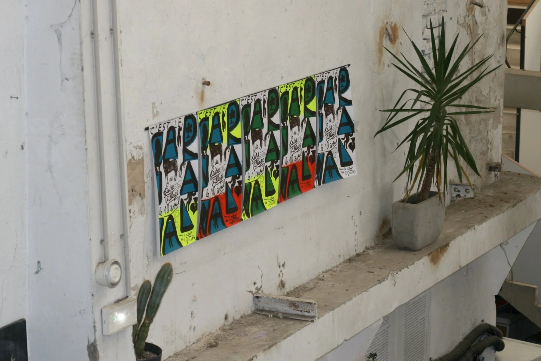 IMG_9936.png
