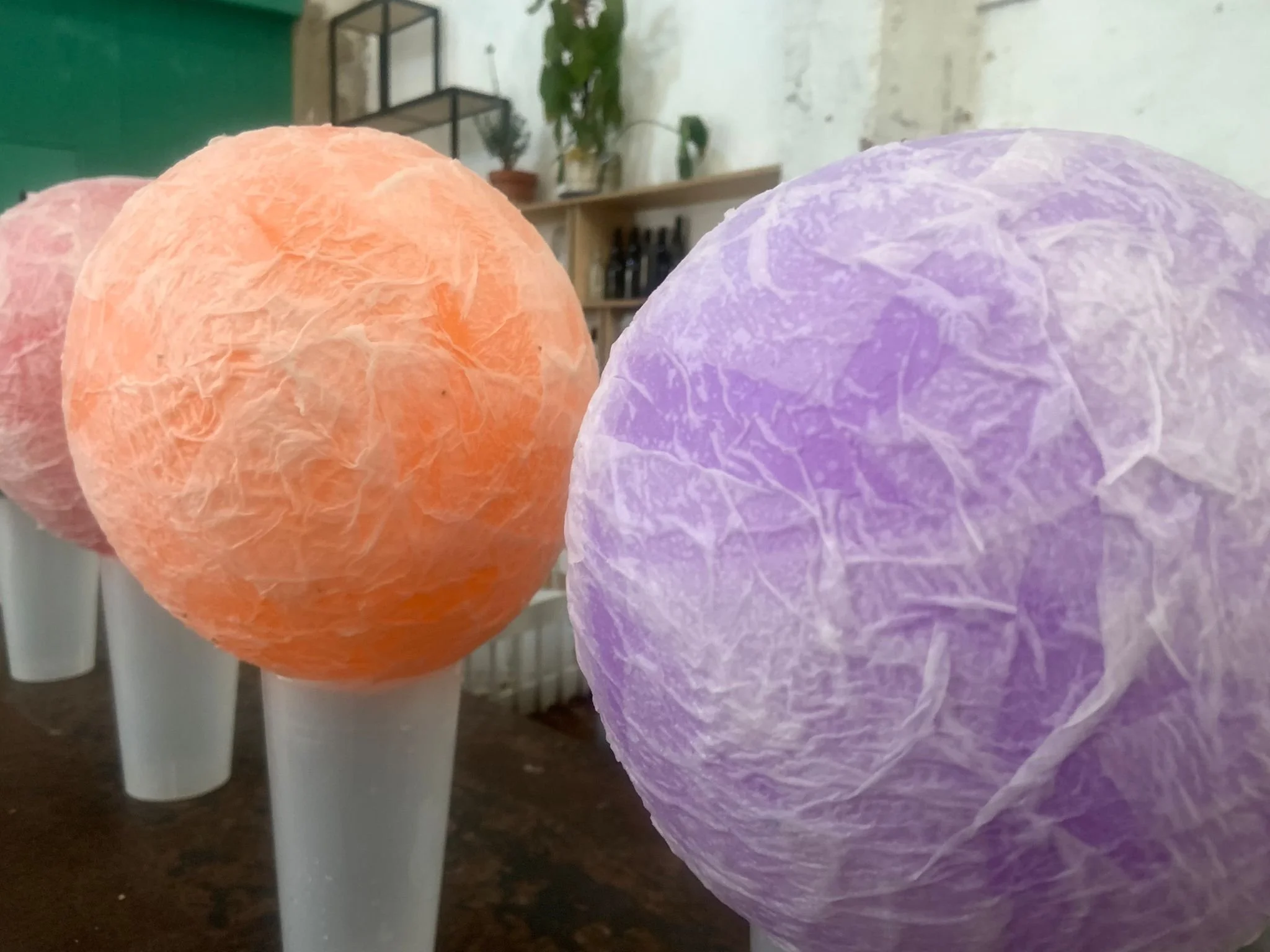 WhatsApp Image 2026-03-17 at 5.13.27 PM.jpeg