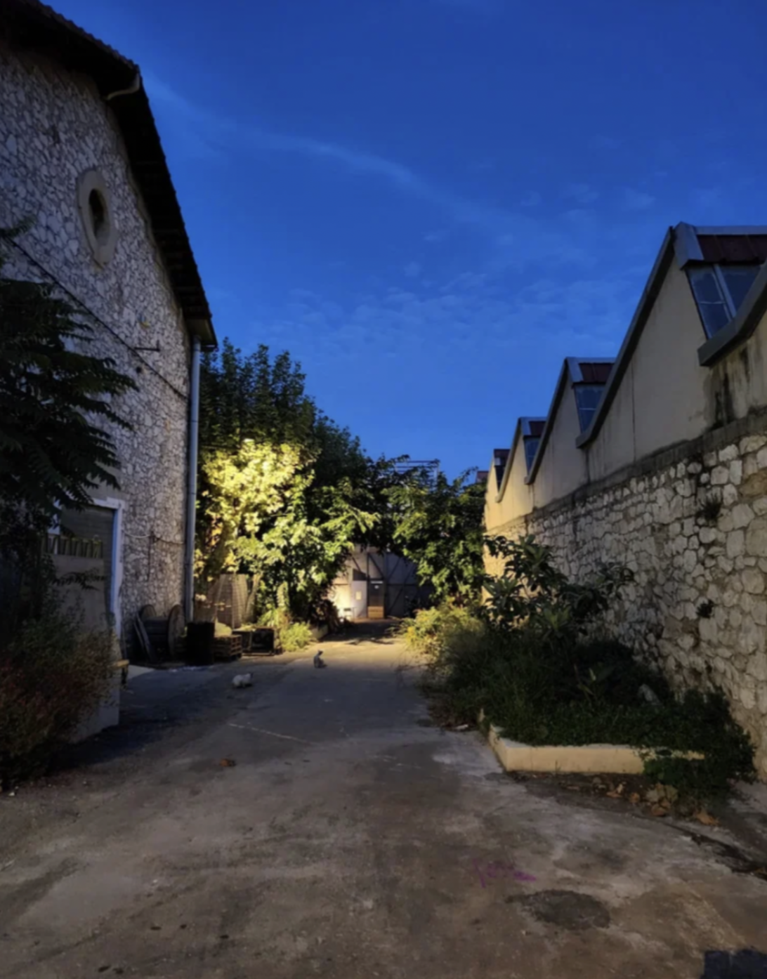 Capture d’écran 2026-02-18 à 15.21.31.png