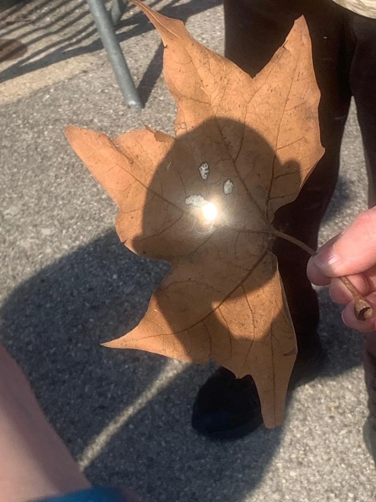 WhatsApp Image 2026-03-17 at 5.12.33 PM-4.jpeg