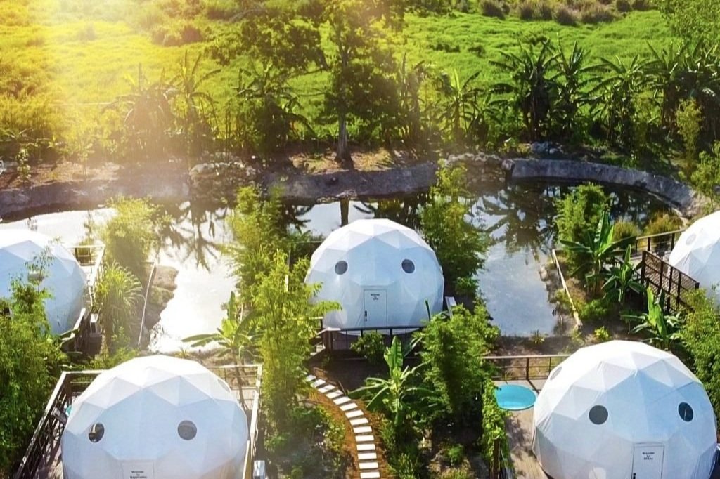 Gratitude Farm