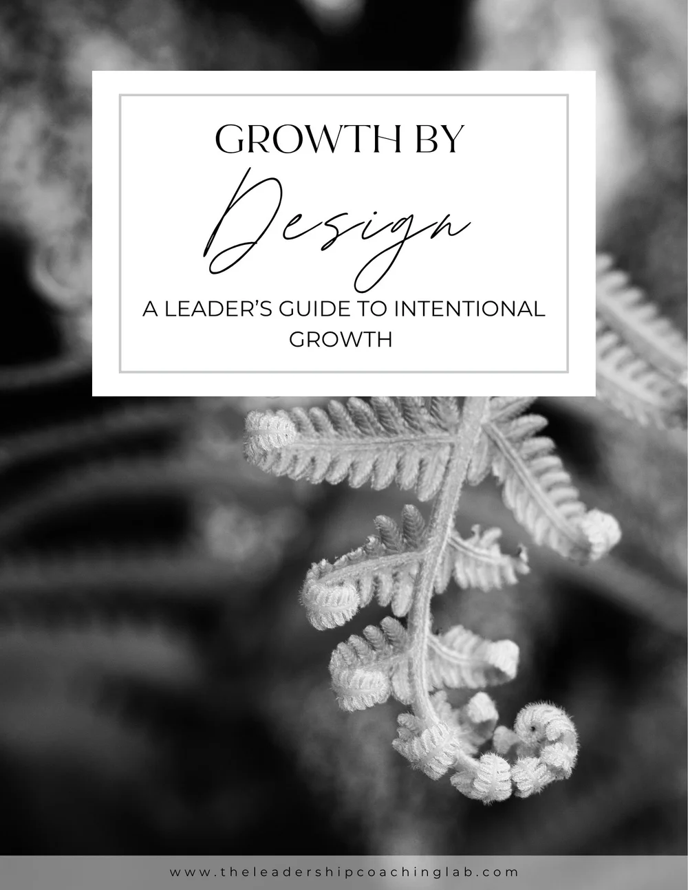 Rooted In Values How to Identify Your Core Values: 5 Simple Steps | The Leadership ...