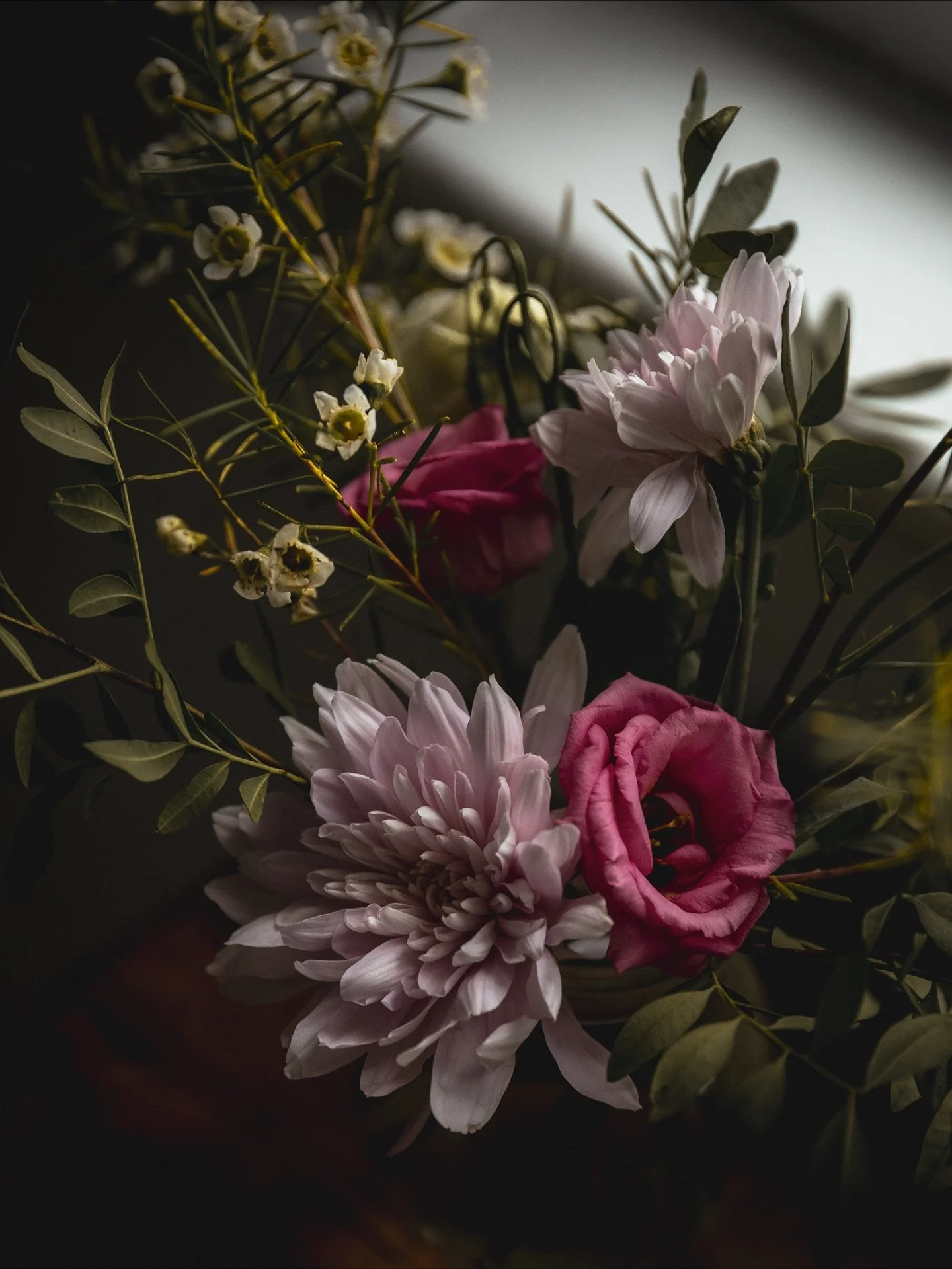 The product of an afternoon chasing light and textures around @kettlesyard 🍂🤎🍄&zwj;🟫