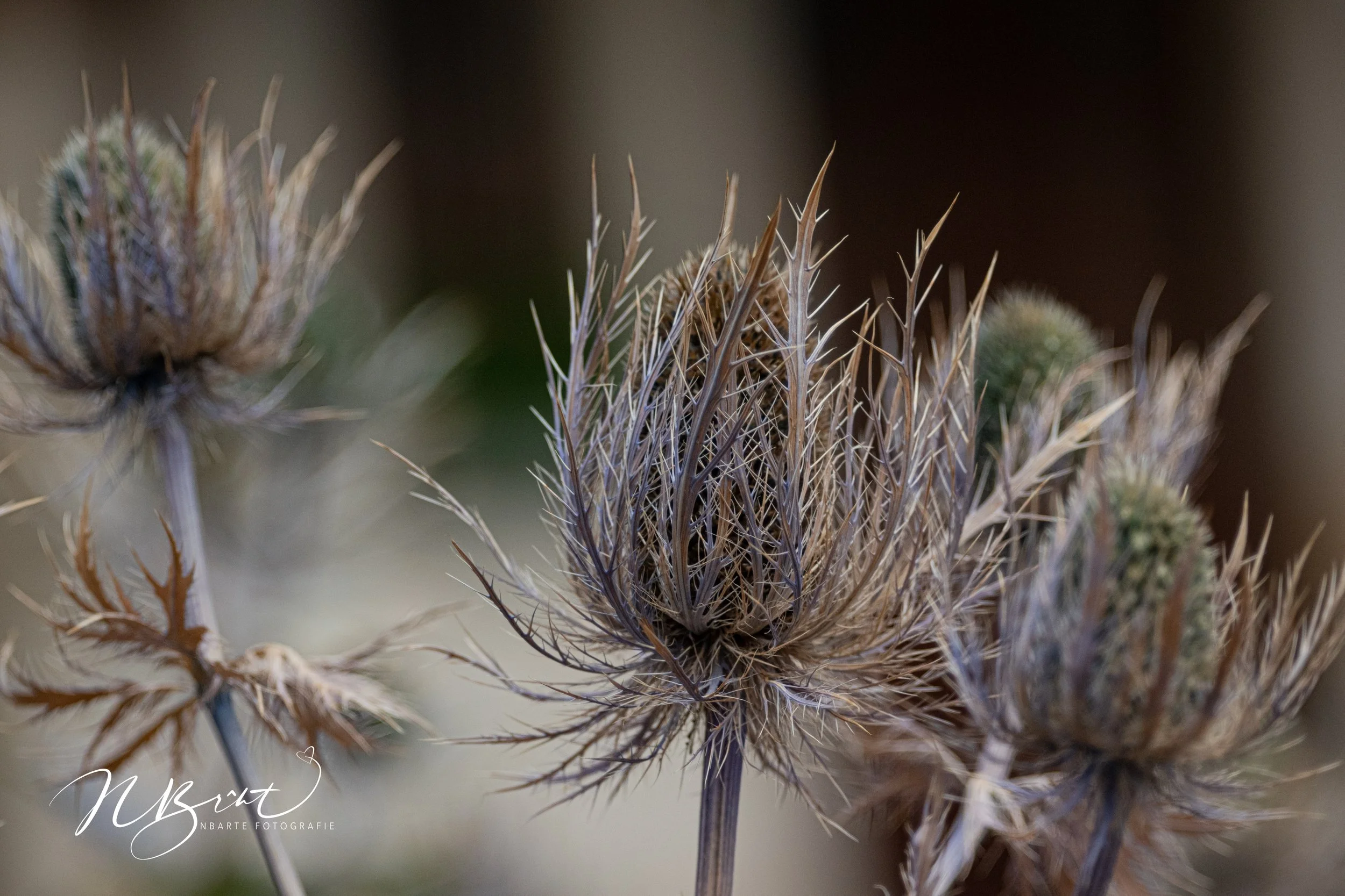 Ende der Sommerpause