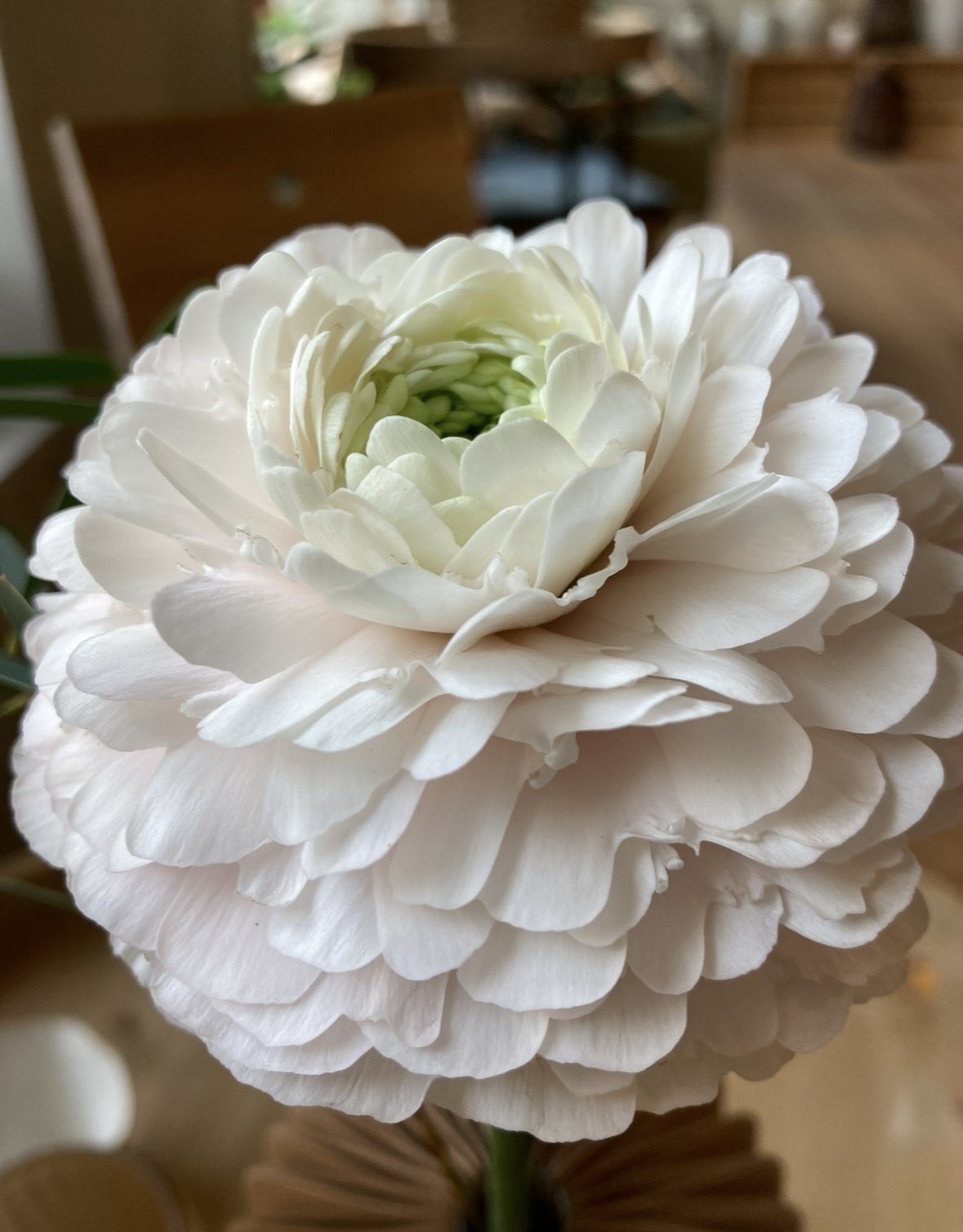 Wir sind wieder startklar!