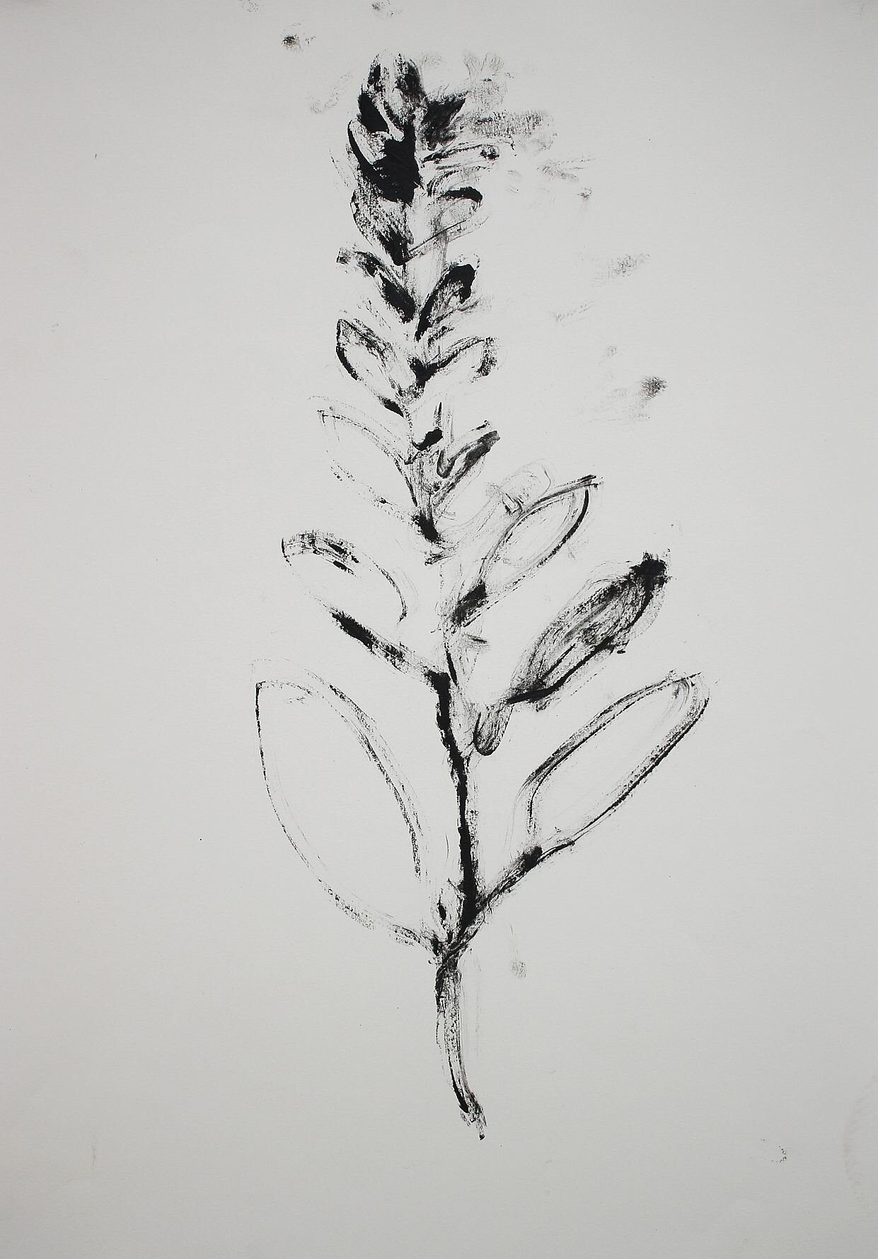 plant drawing / 2021 / oilstick on paper / 42 x 29,7cm