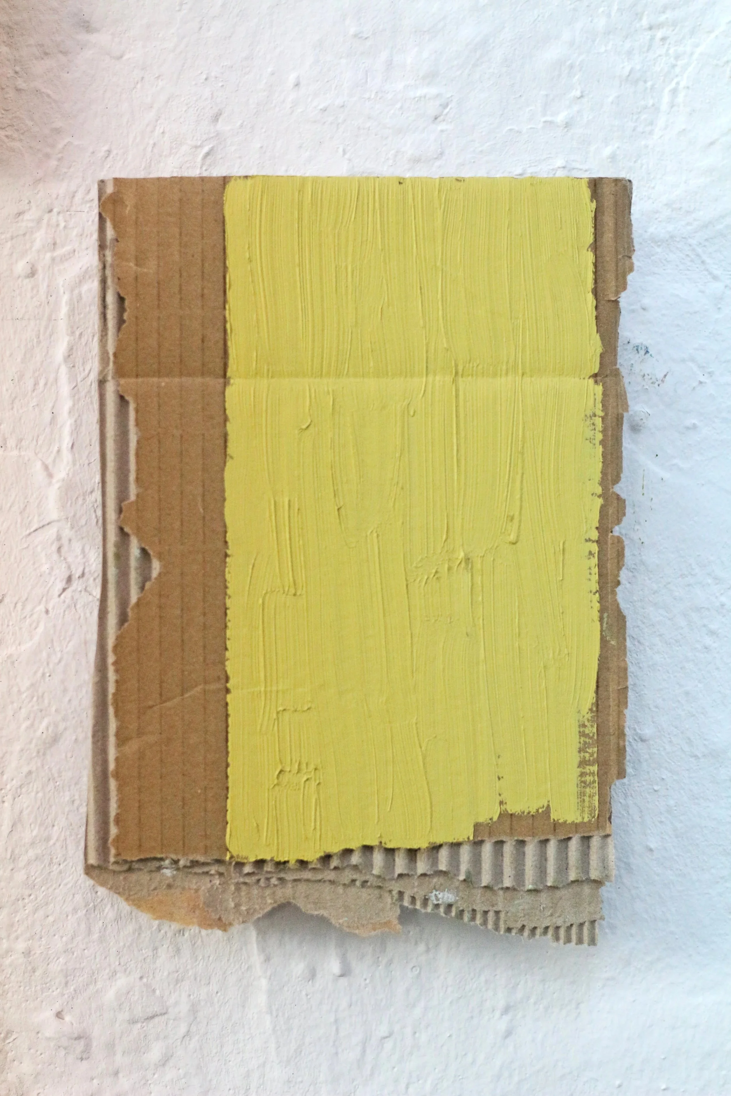 Mauersegler / 2026 / detail