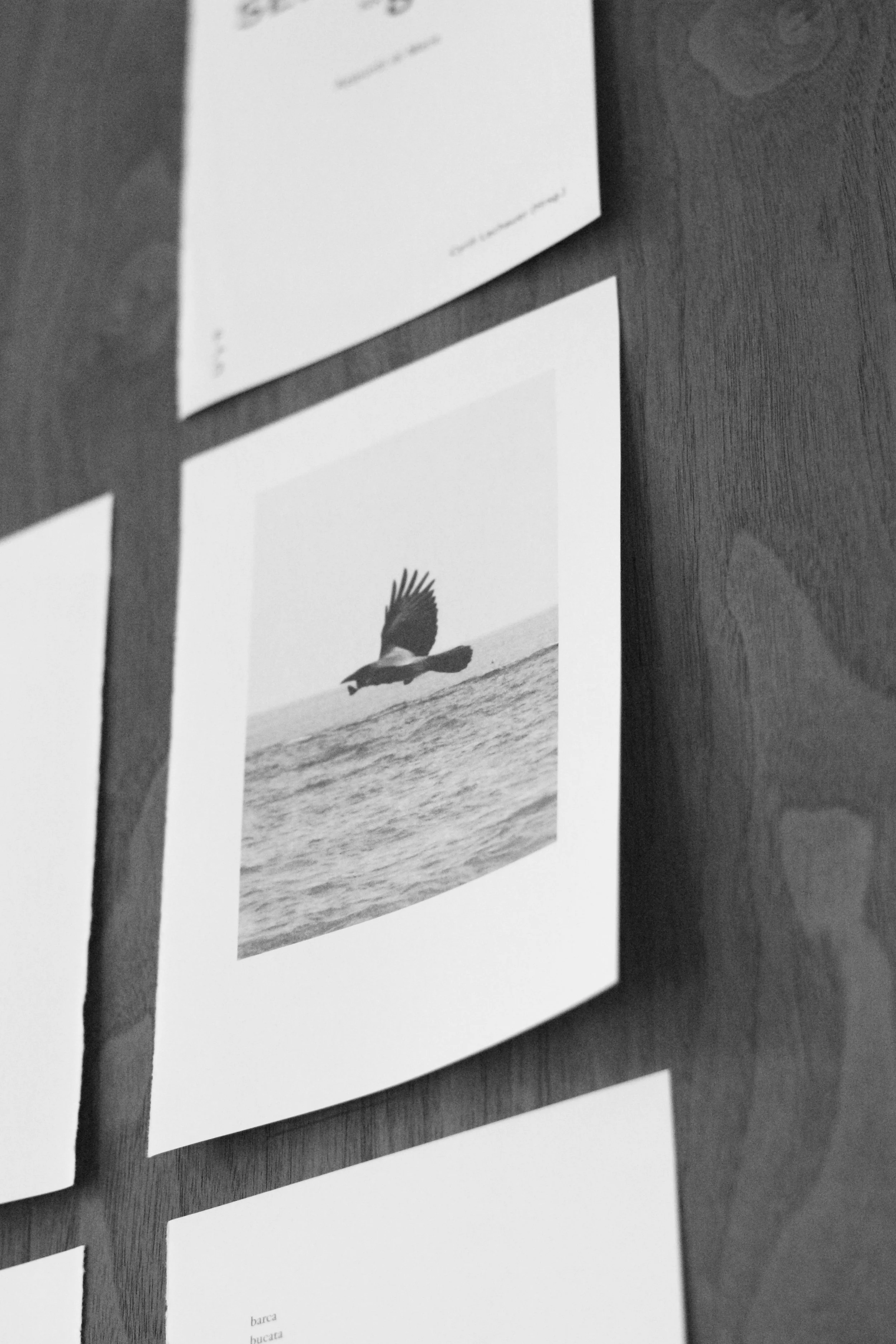 IMG_0552BW.jpg