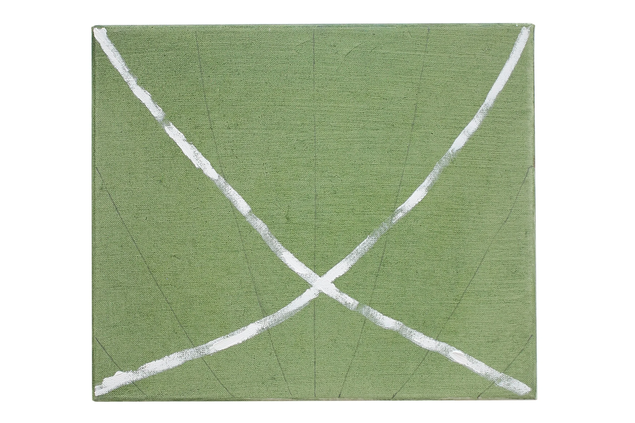 turtle tricks, 2026, oil on canvas, 30 x 35cm