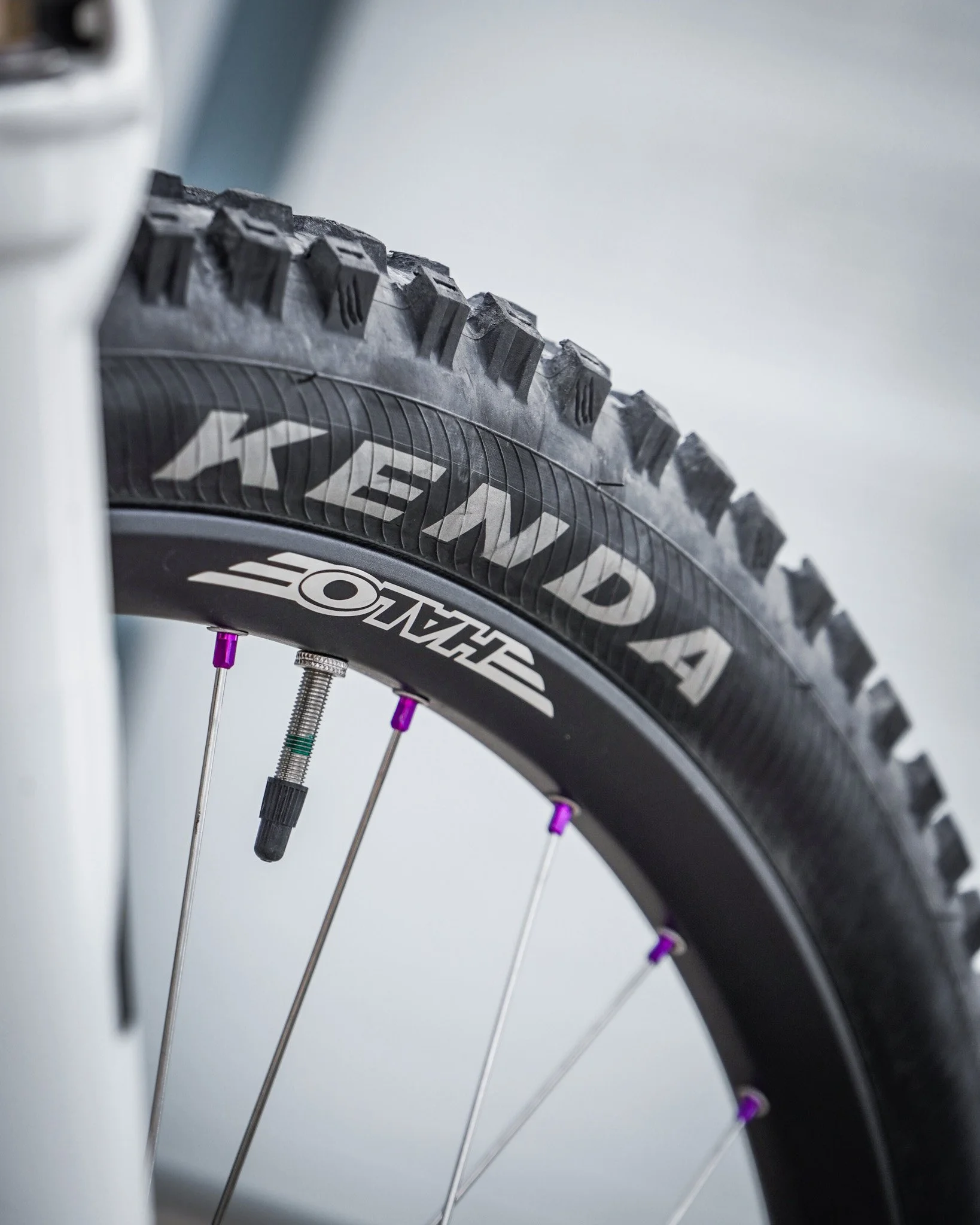Ewan-Bike-Ison-04.jpg