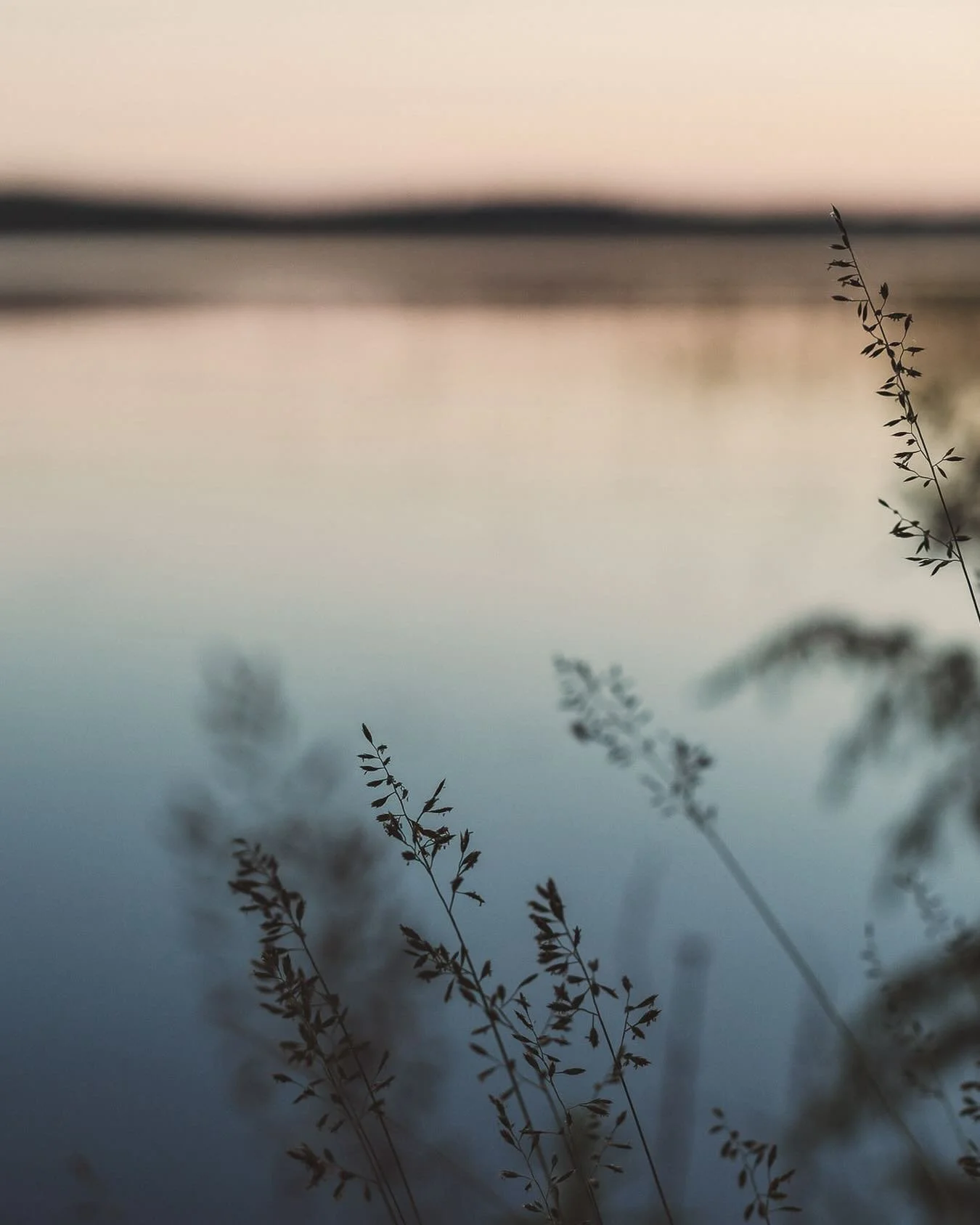 tuoksut vanamon ja varjot veen
⠀⠀⠀⠀⠀⠀⠀⠀⠀
⠀⠀⠀⠀⠀⠀⠀⠀⠀
kes&auml;iltaik&auml;v&auml; ☽