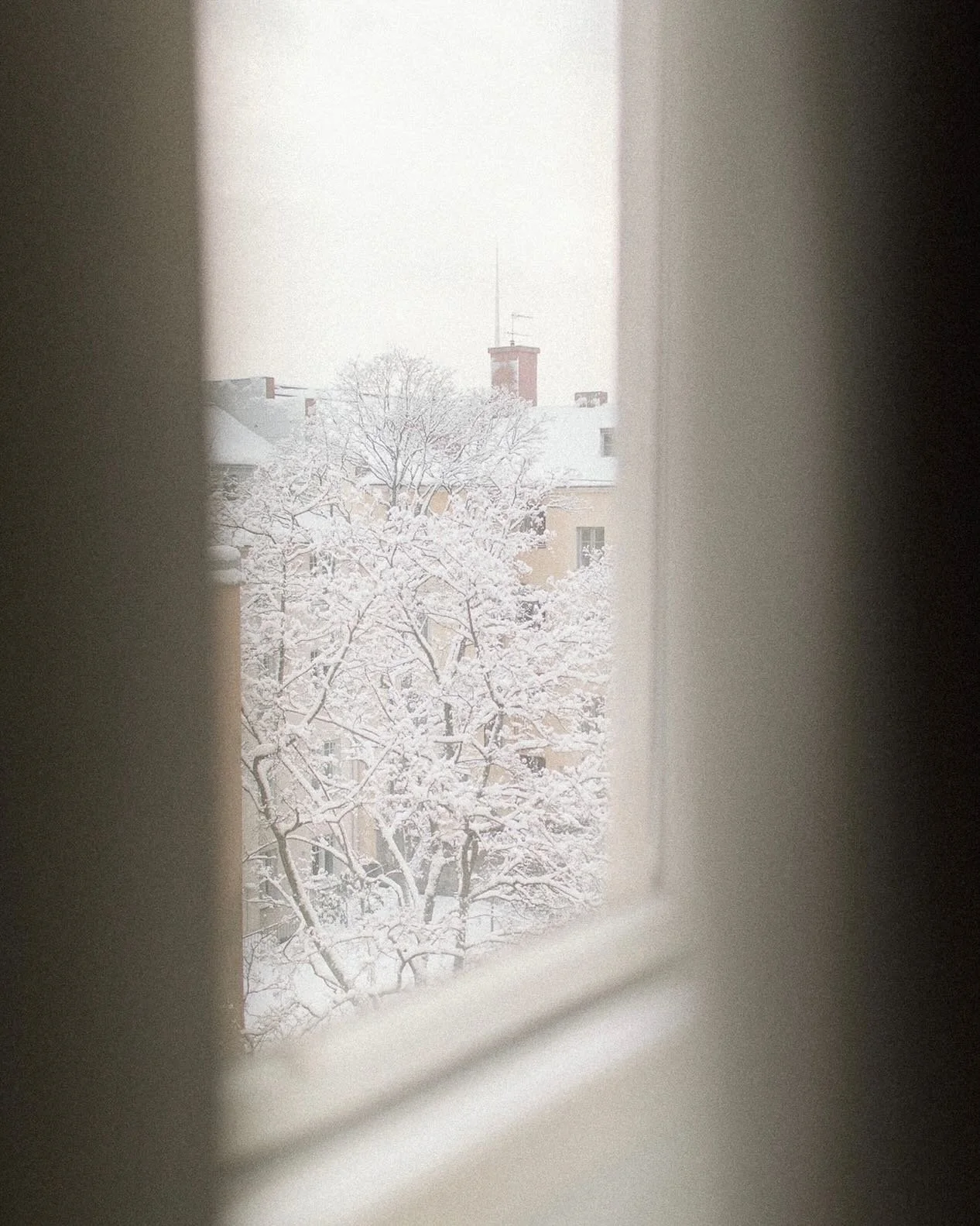 Hoping that this view might still make a comeback instead of all the slush and rain and deadly ice roads we&rsquo;ve had again lately ⛸️💀🥲