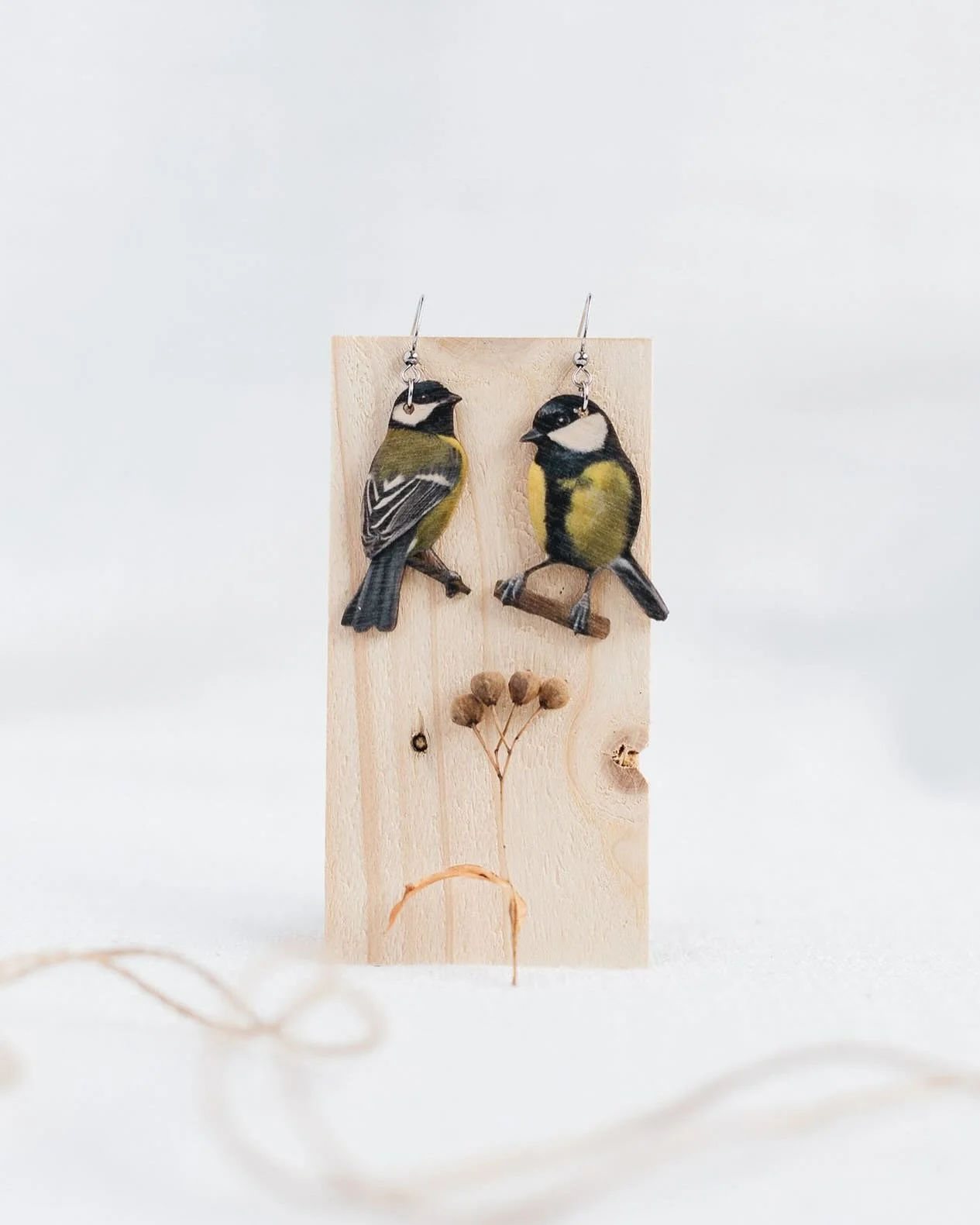 Sweet lil birdies photographed for the lovely @studio_annukka_laine 🤎🐦