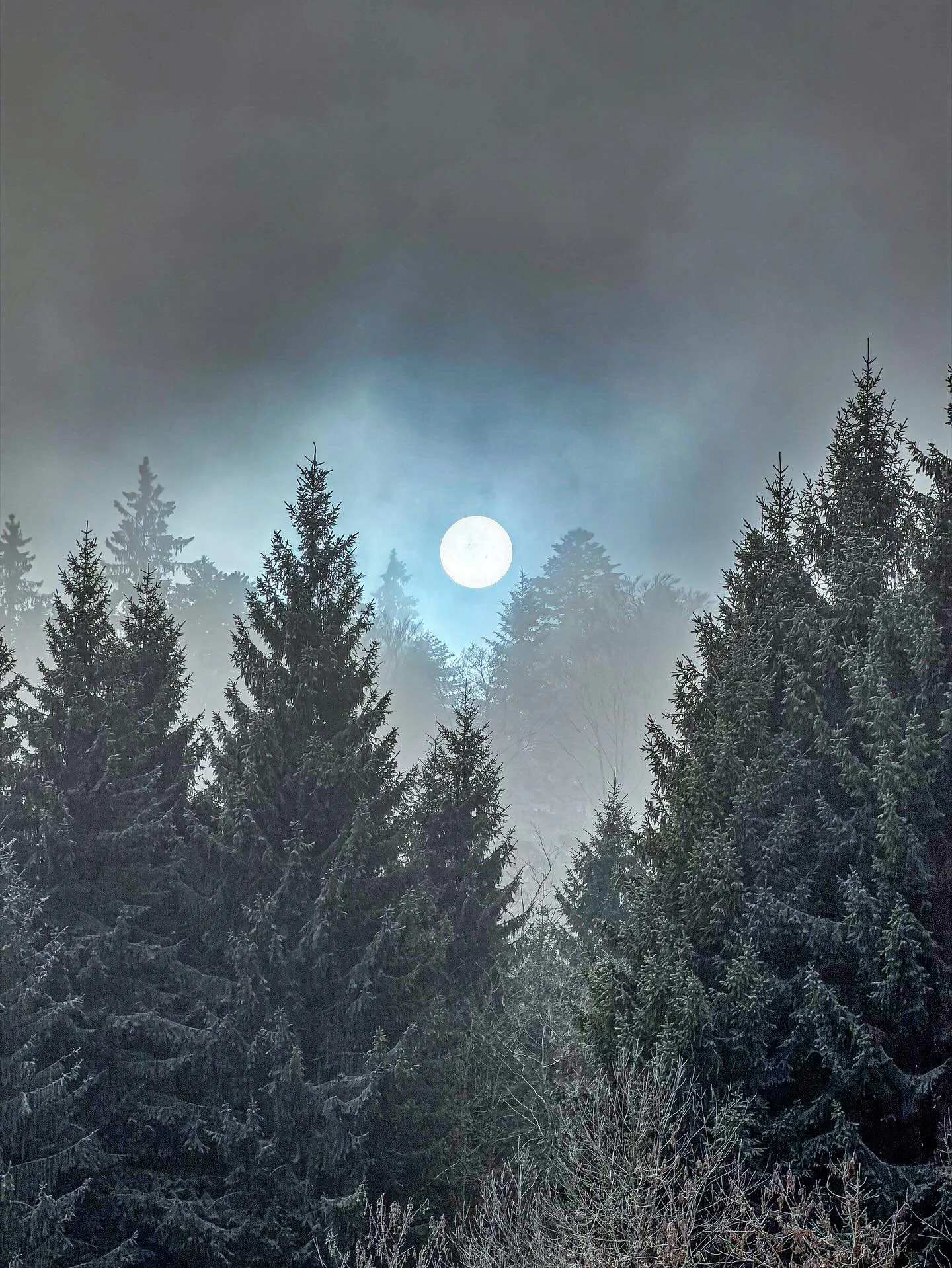 #sonne #winterlandscape #winterinswitzerland #frozenlandscape #einsiedeln