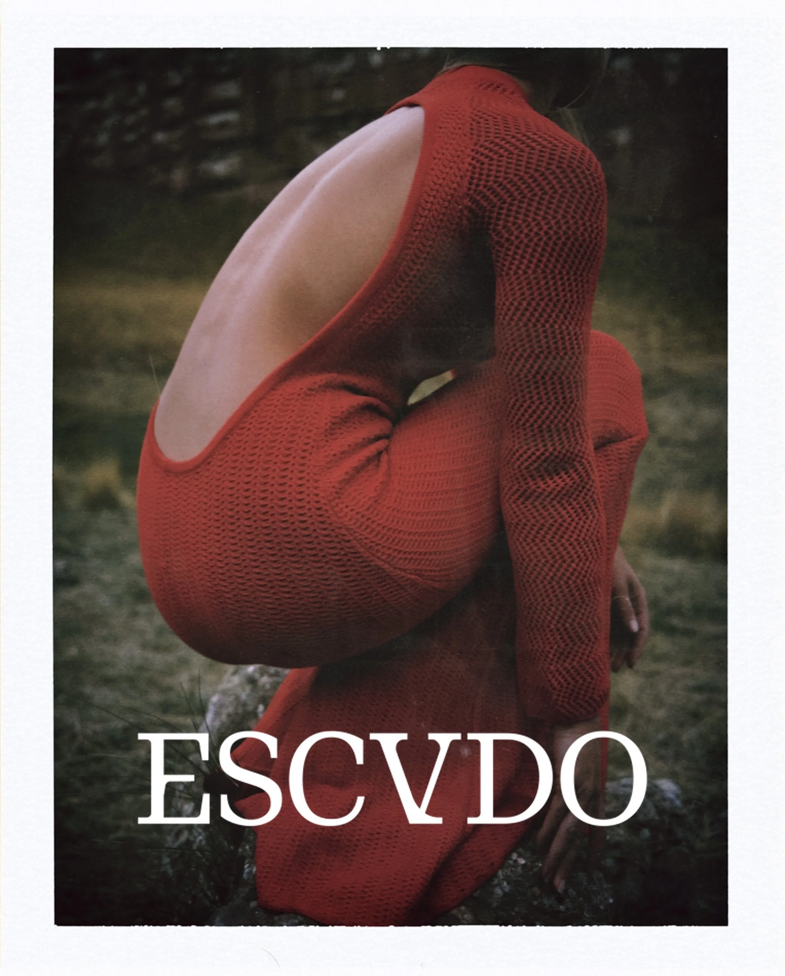 LOGO_paf 2026-03-10 153331297C2D659A62.jpg