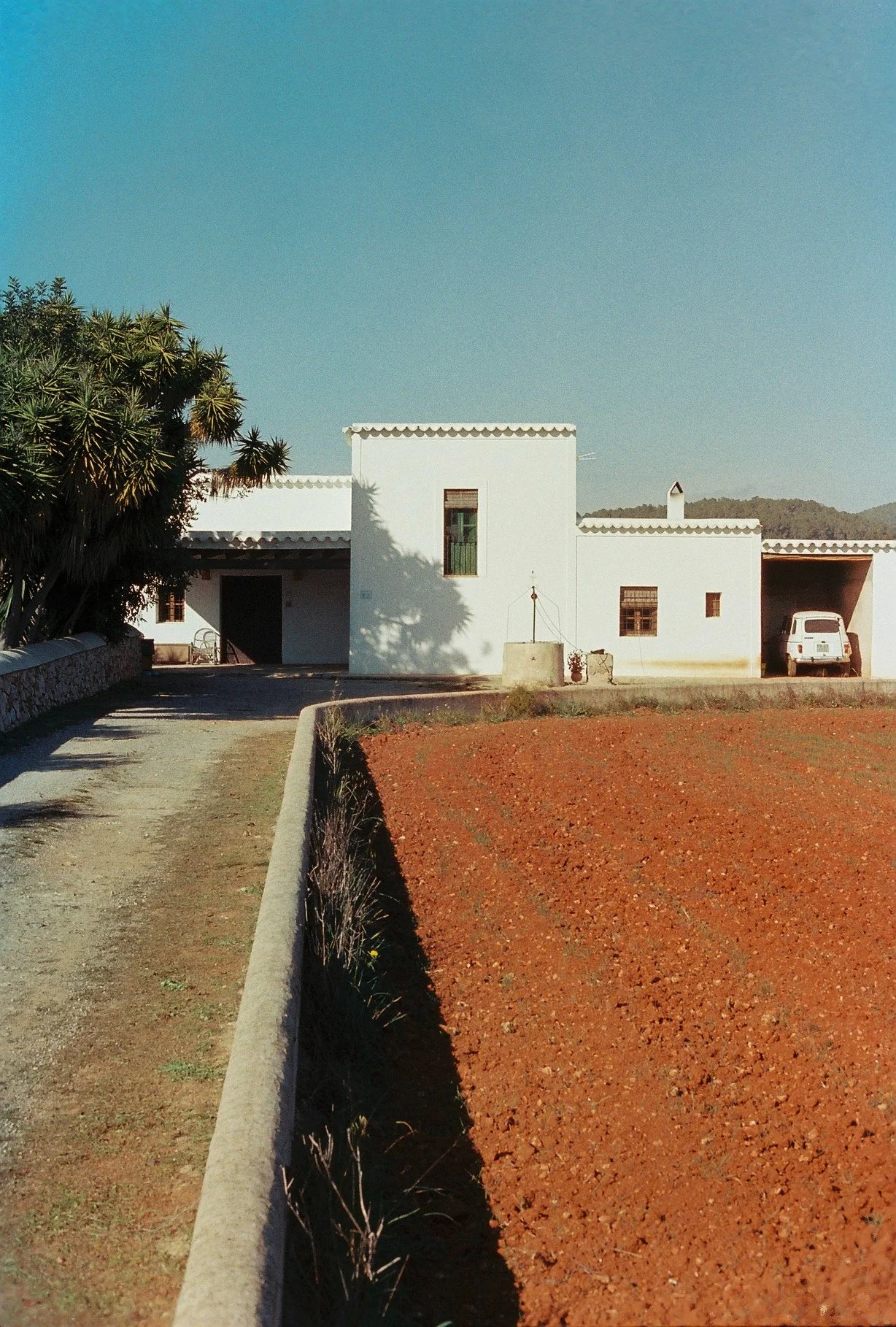 untitled shoot-000022.JPG