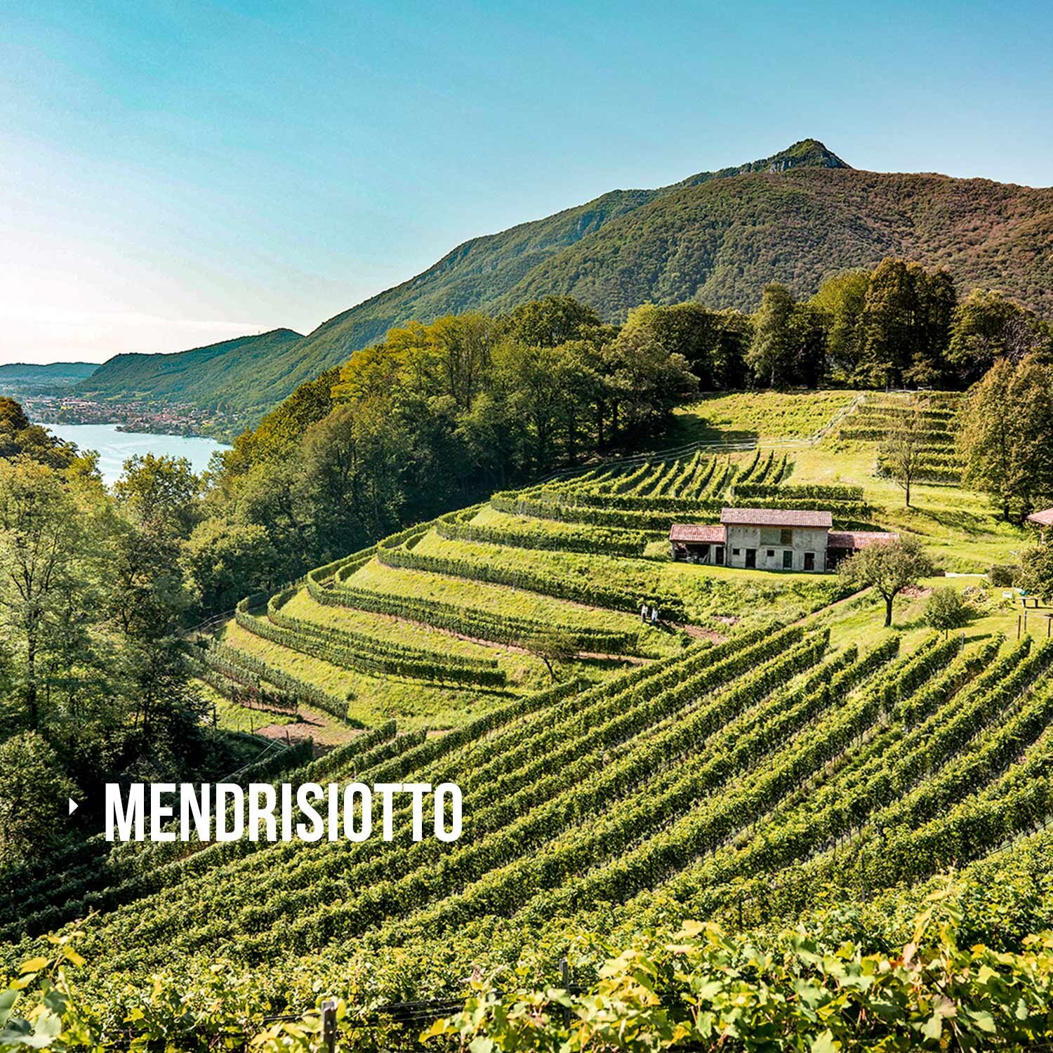 TicinoGourmetTour_Region_Mendrisiotto.jpg