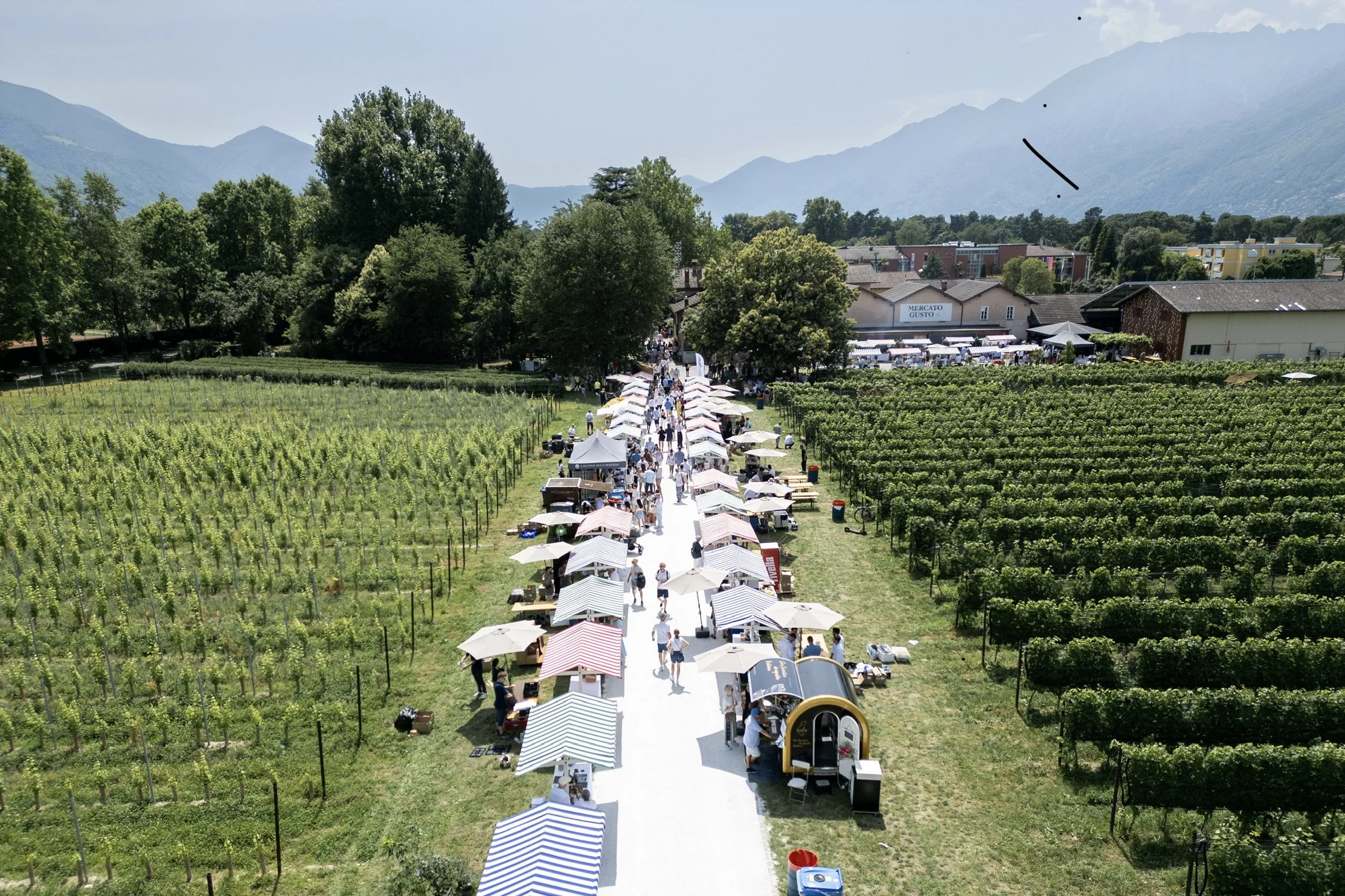 Mercato del Gusto - 07.06.26