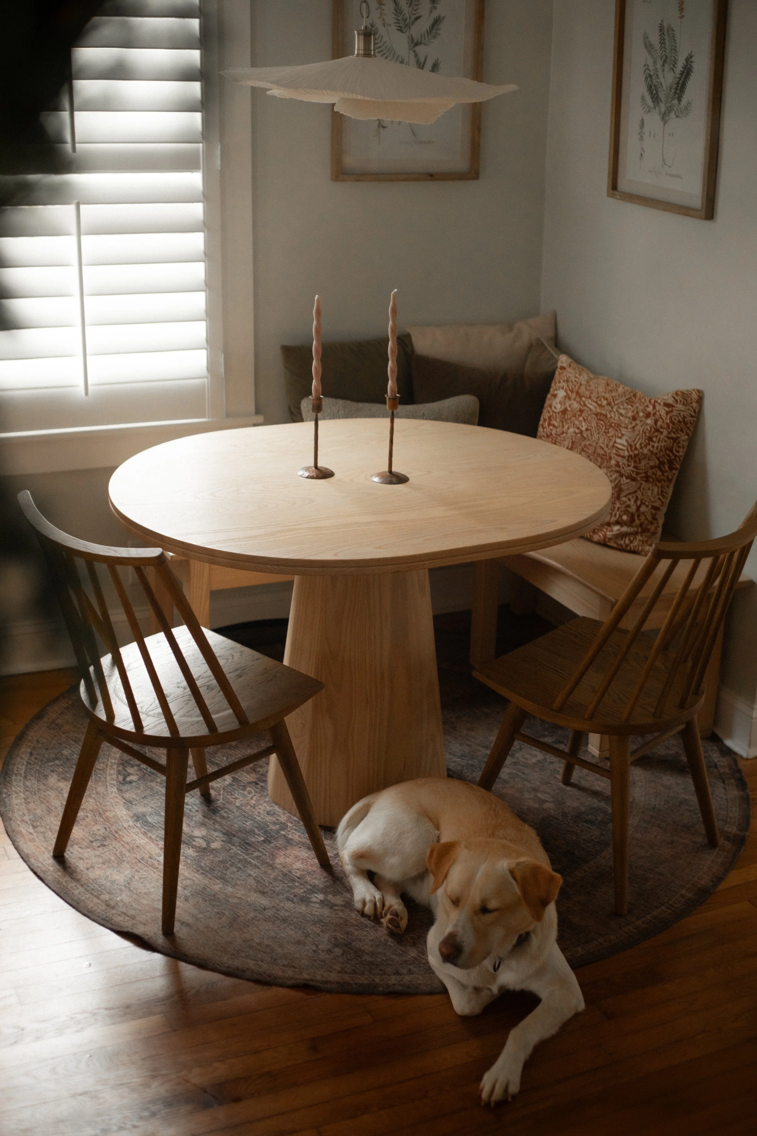 a cozy white dog lays at the base of a tapered, pedestal, oval dining table made of ash surrounded by a comfortable bench seat with colorful pillows and whimsical candles