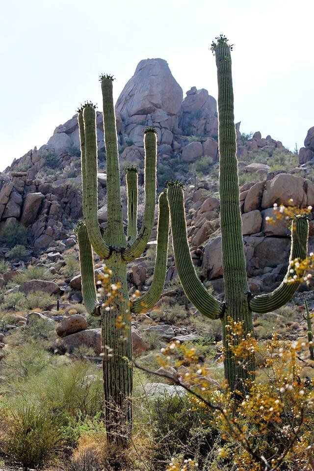 Phoenix, Arizona 2016