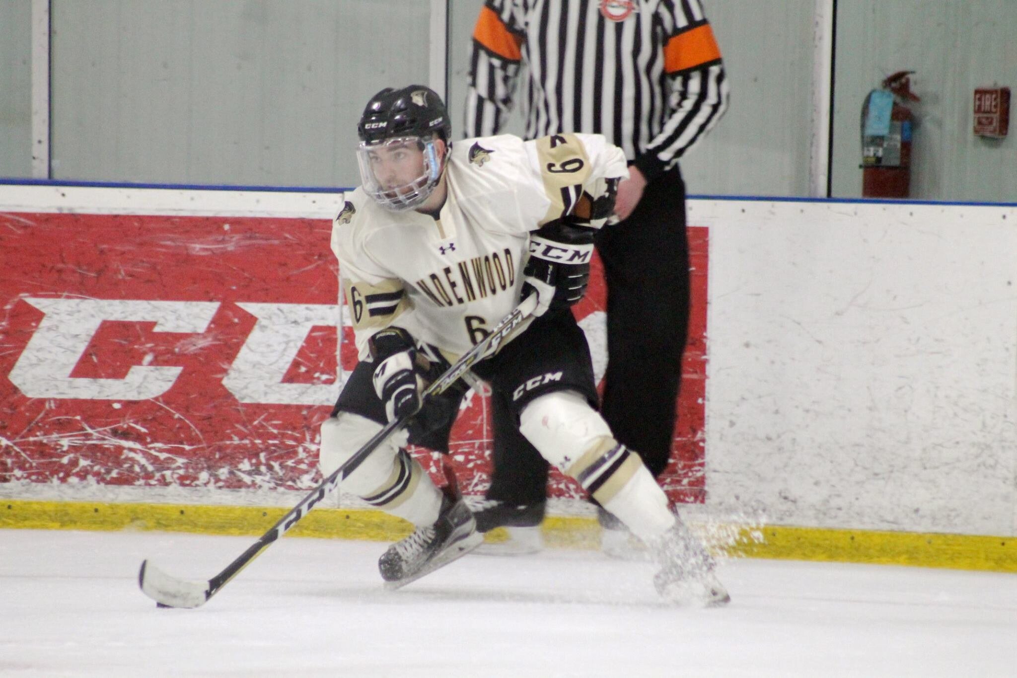Lindenwood Hockey 2019