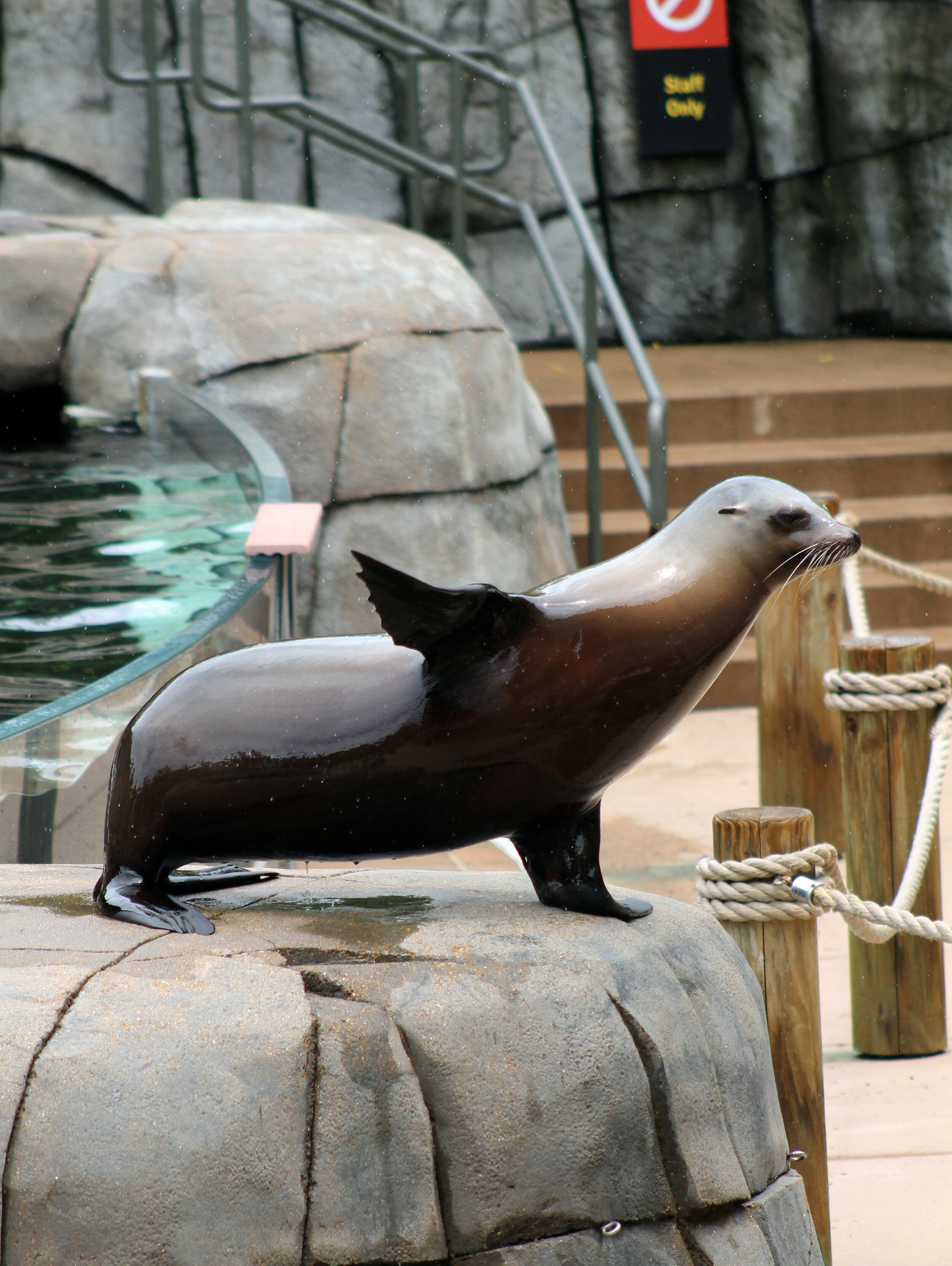 St. Louis Zoo
