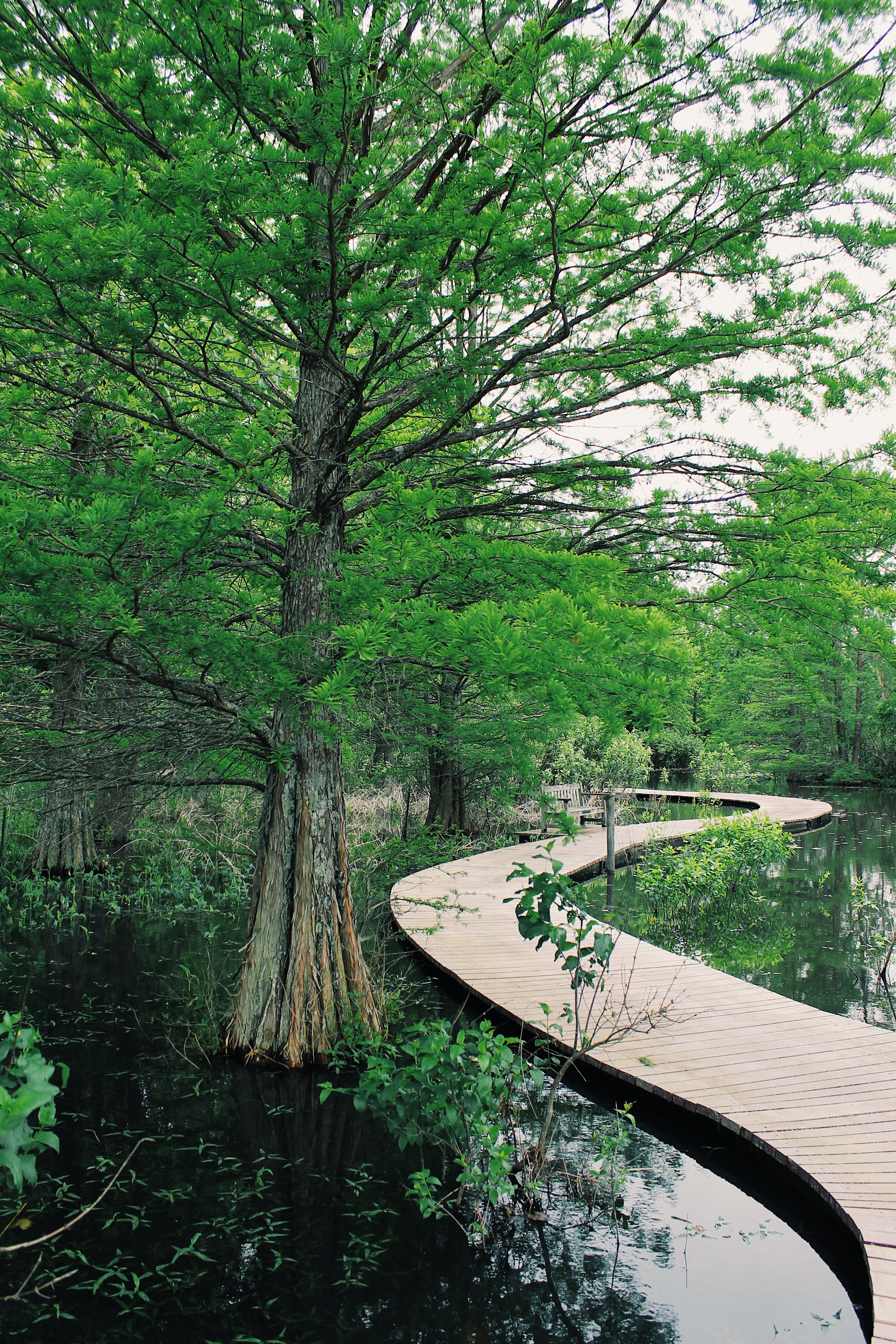 Shaw Nature Reserve