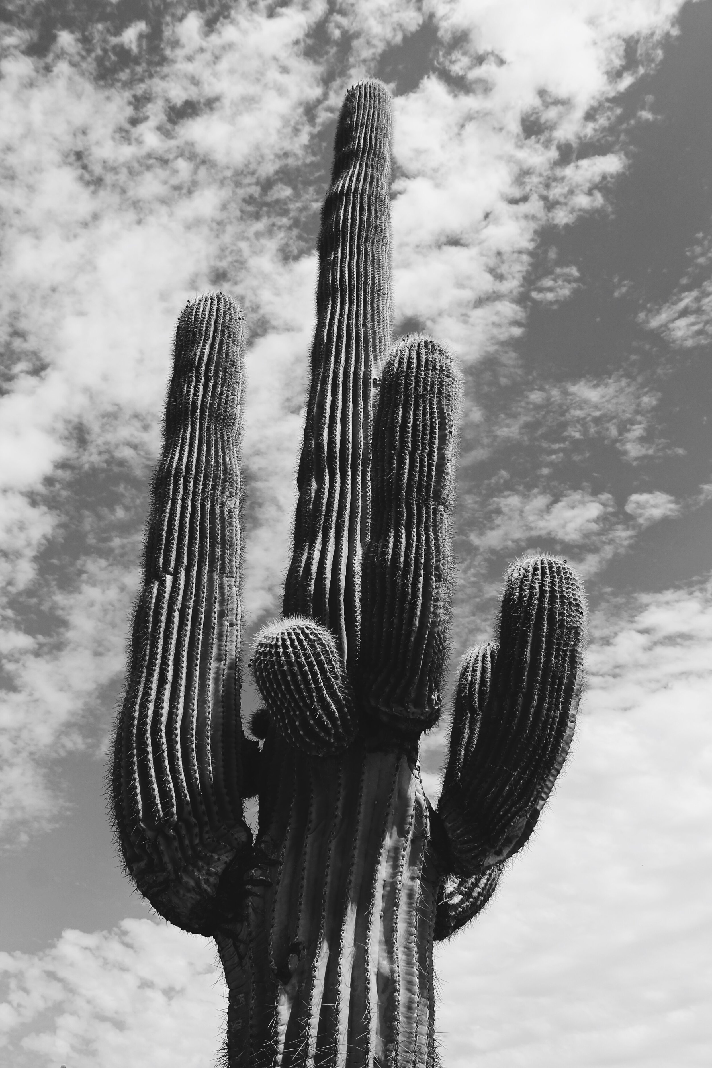 Scottsdale, Arizona