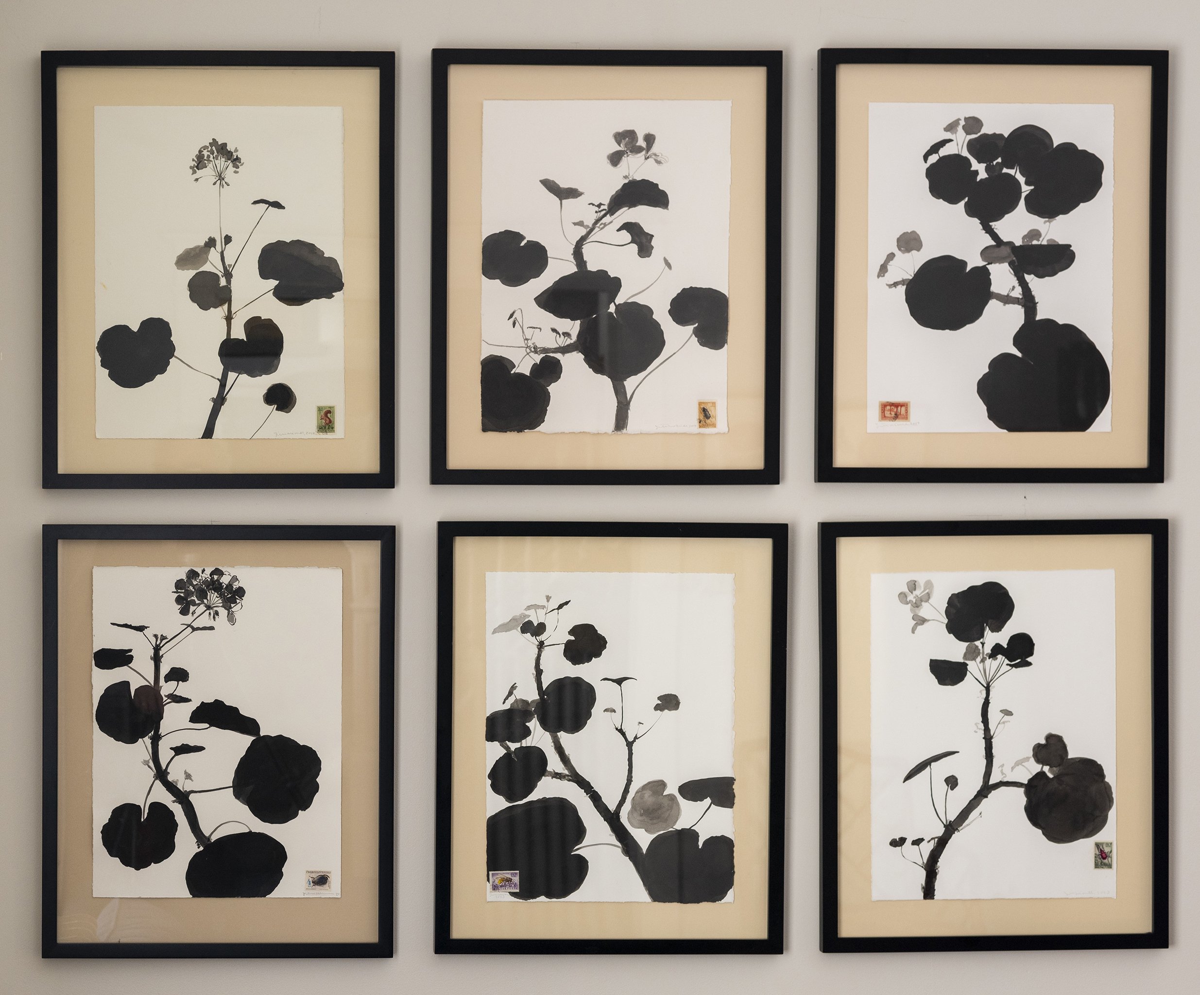 GERANIUM GROUP, 2023