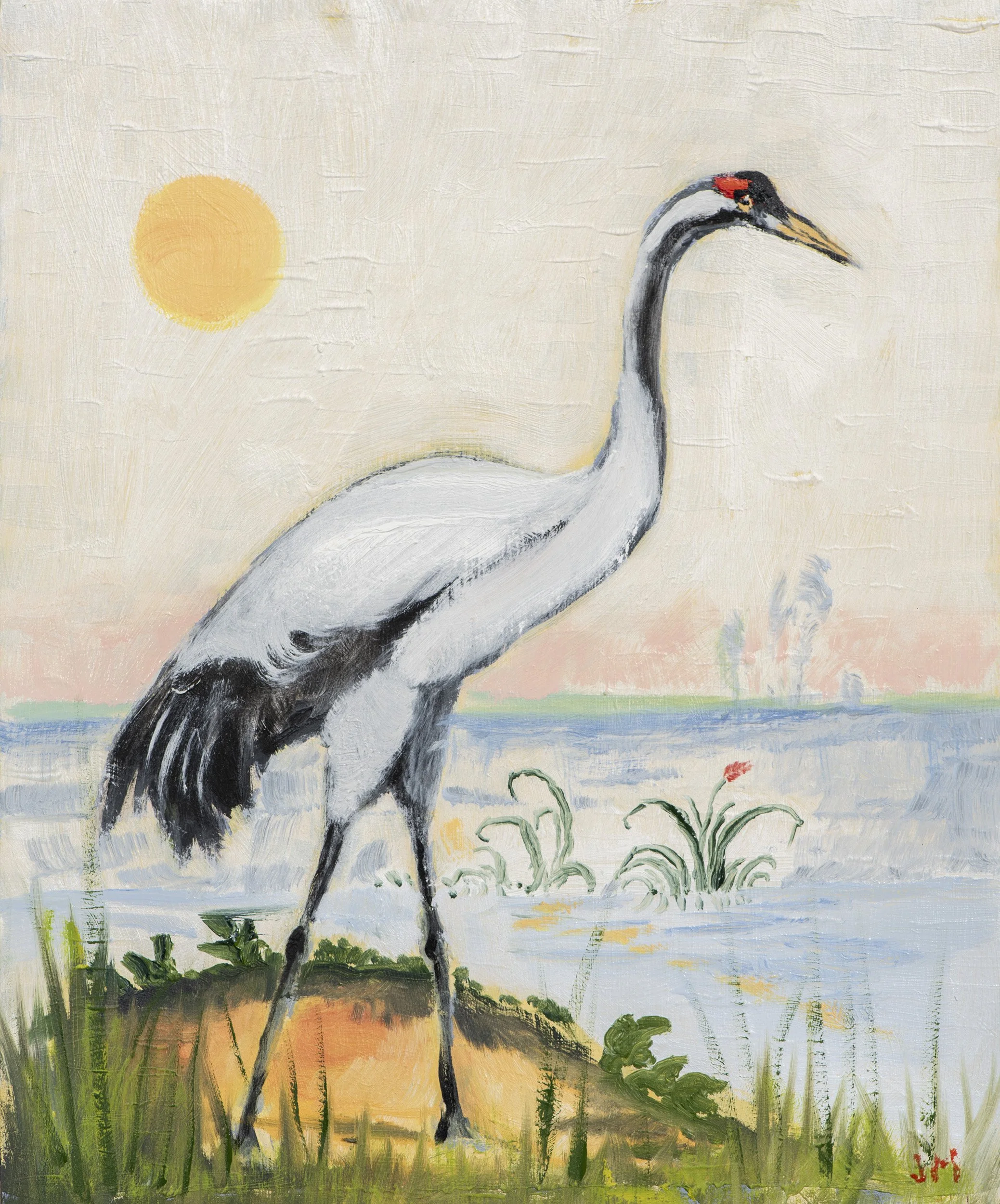 COMMON CRANE, 2026