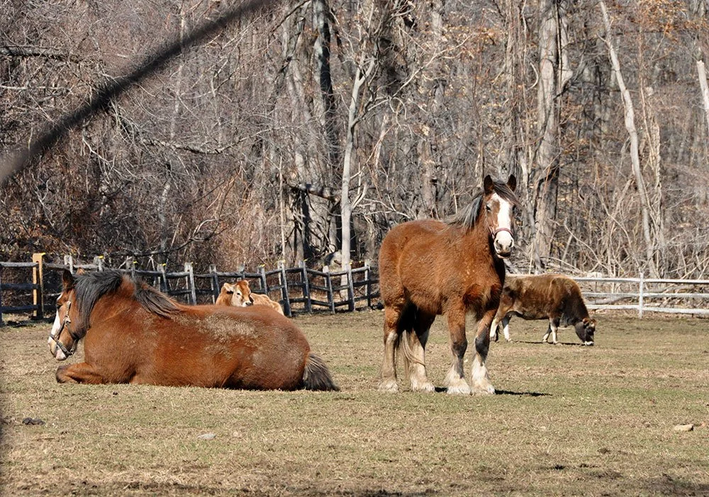 DSC_0045.jpg