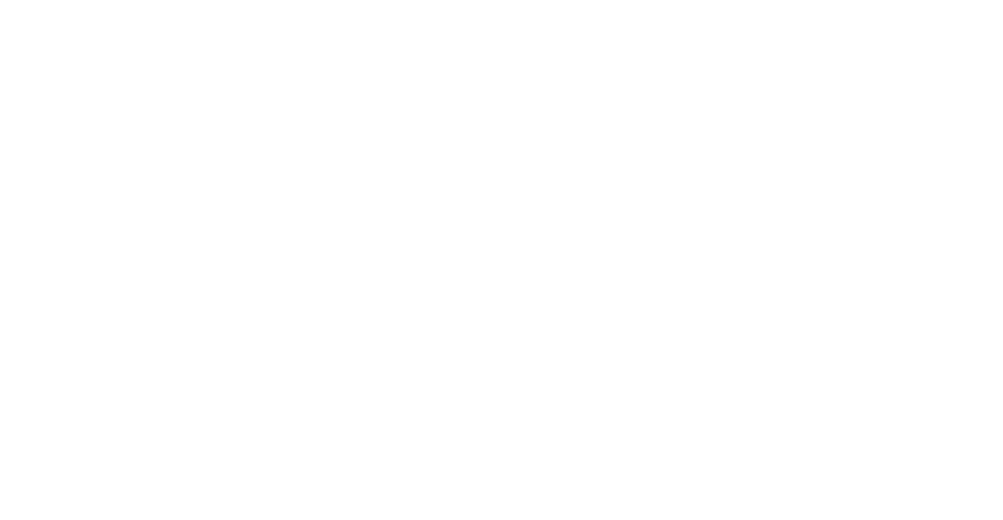 White Logo-Transparent Background-LARGE.png