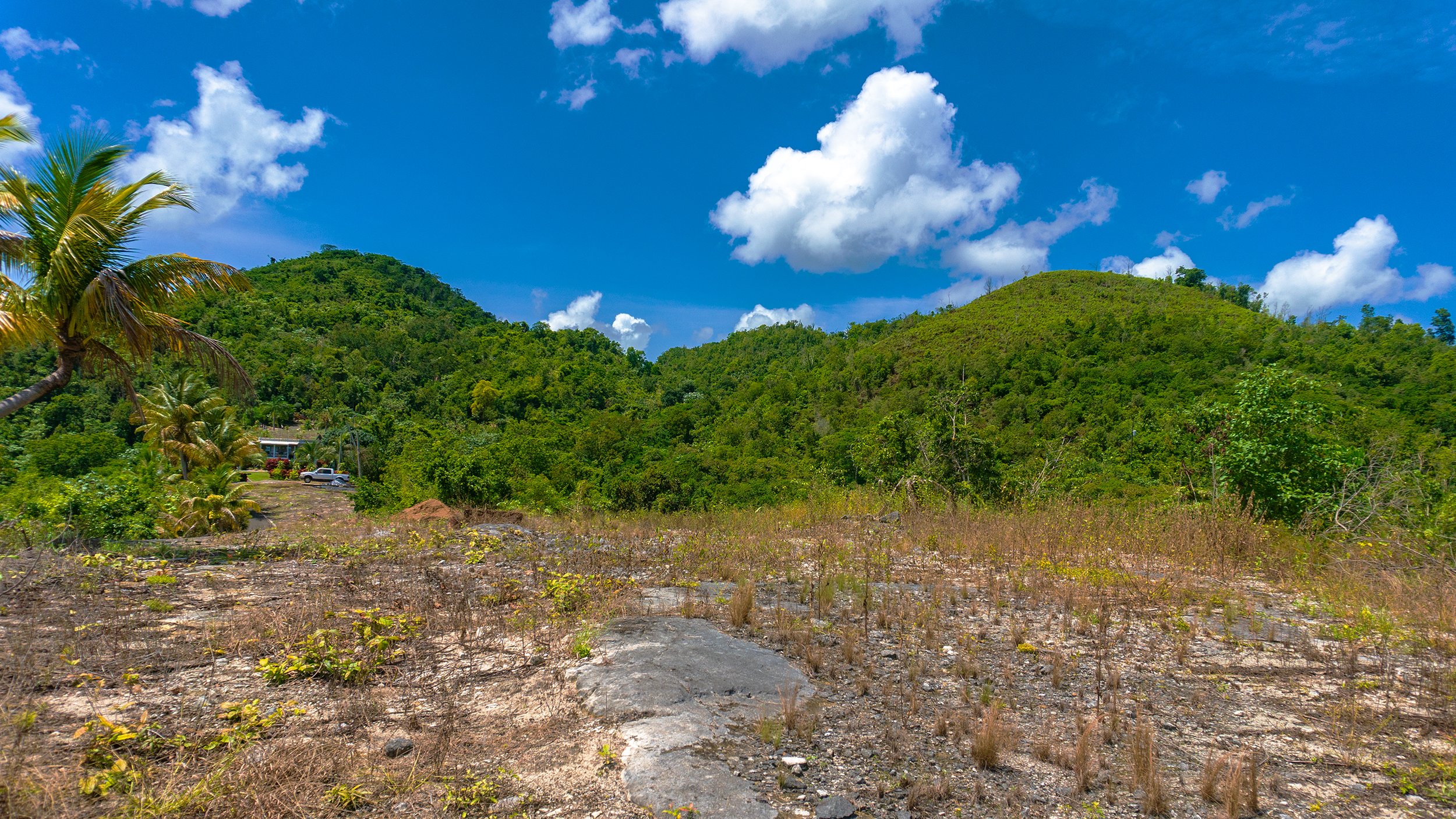 Ciales logoless #86.jpg