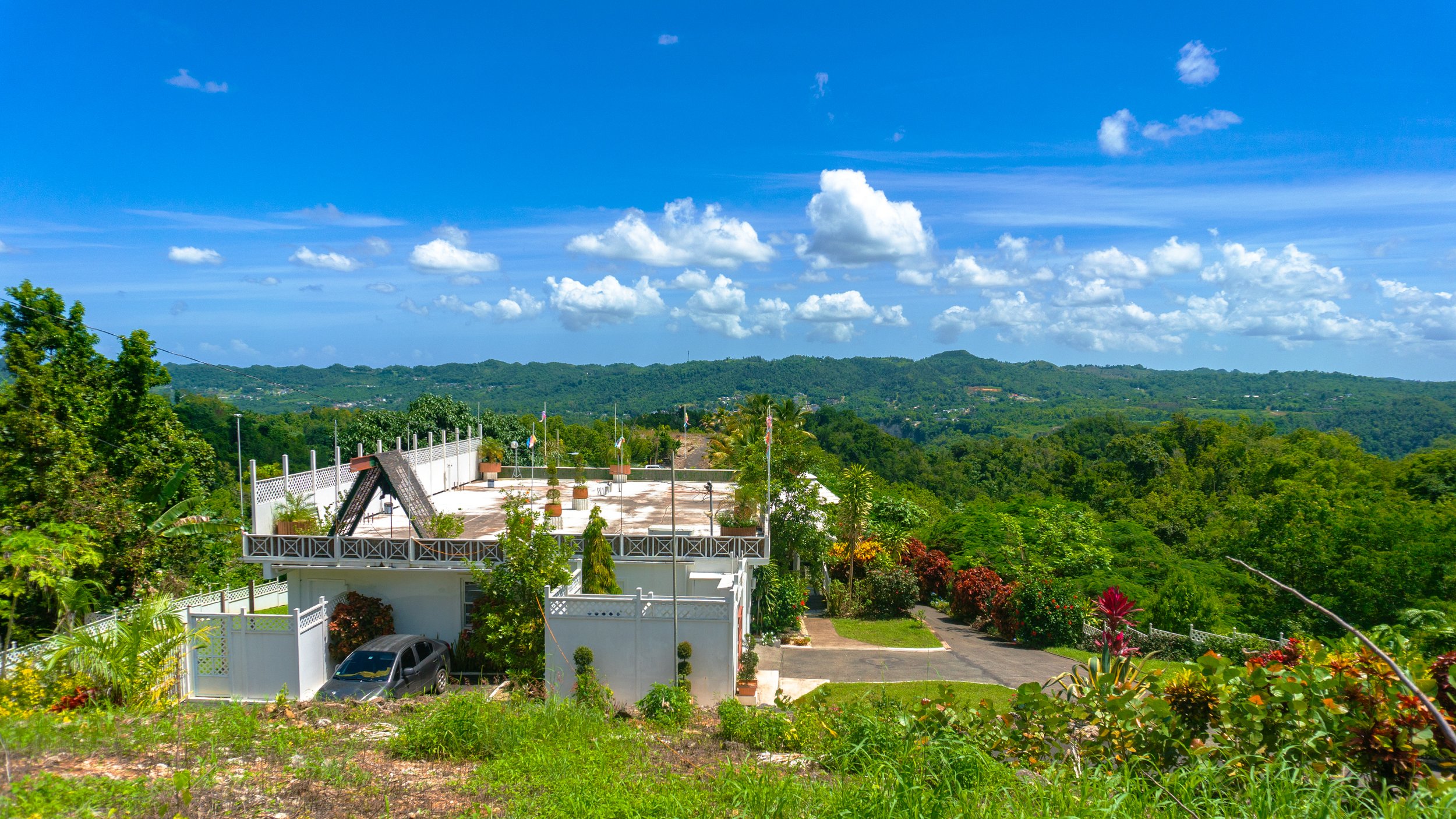 Ciales logoless #88.jpg