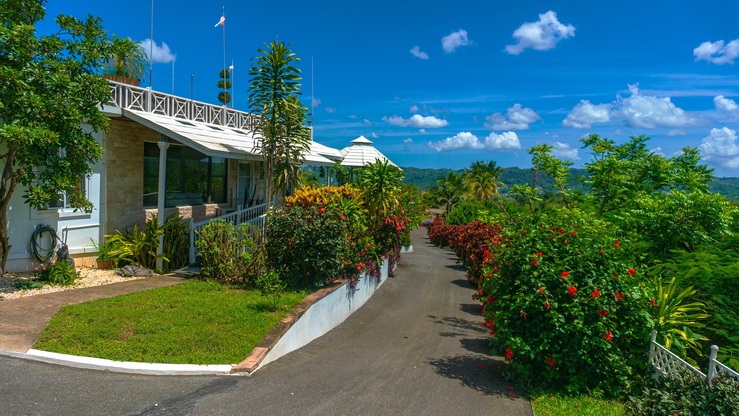 Ciales logoless #94.jpg