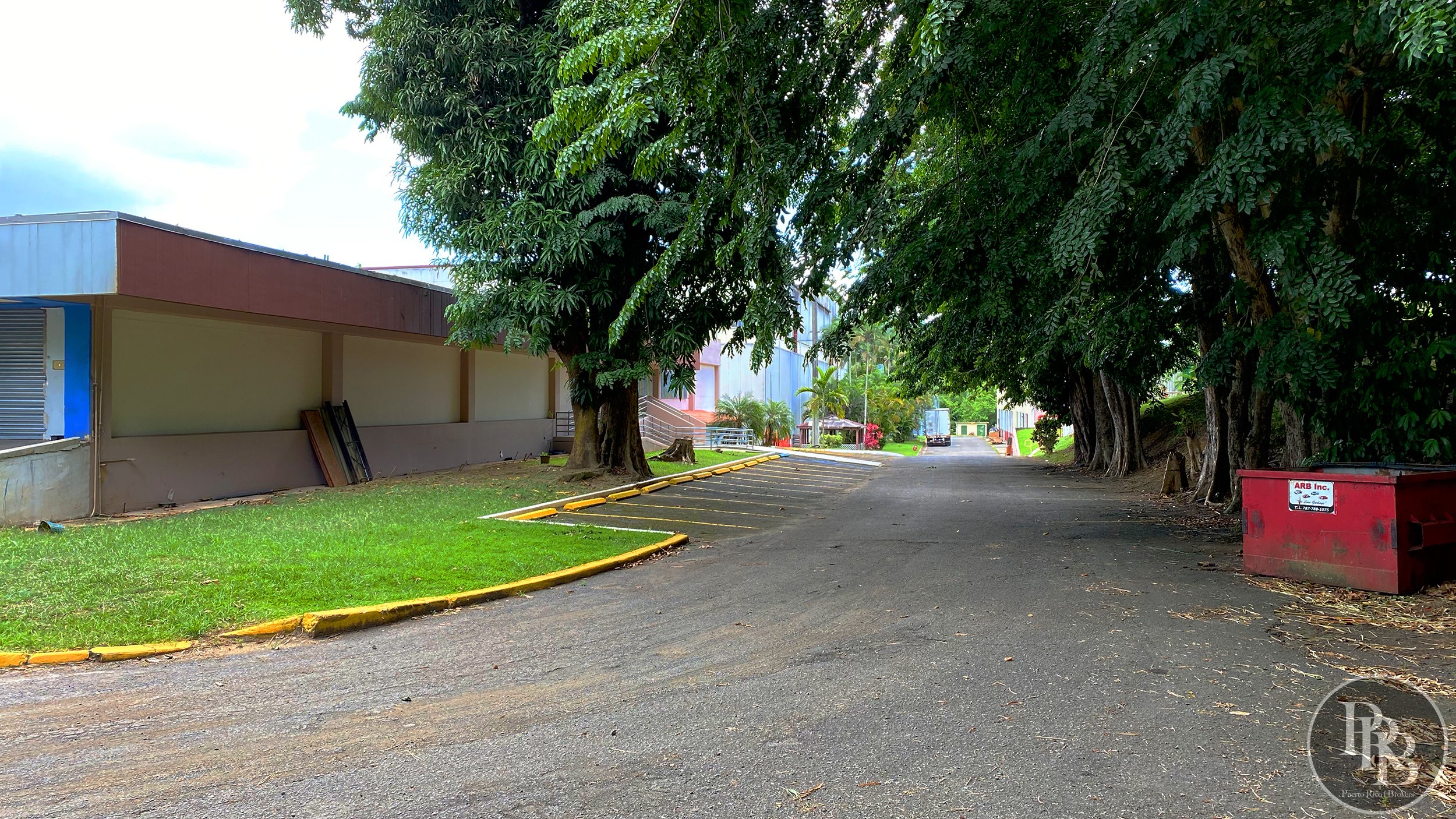 caguas 12 million - Luis Alicea property 13.jpg
