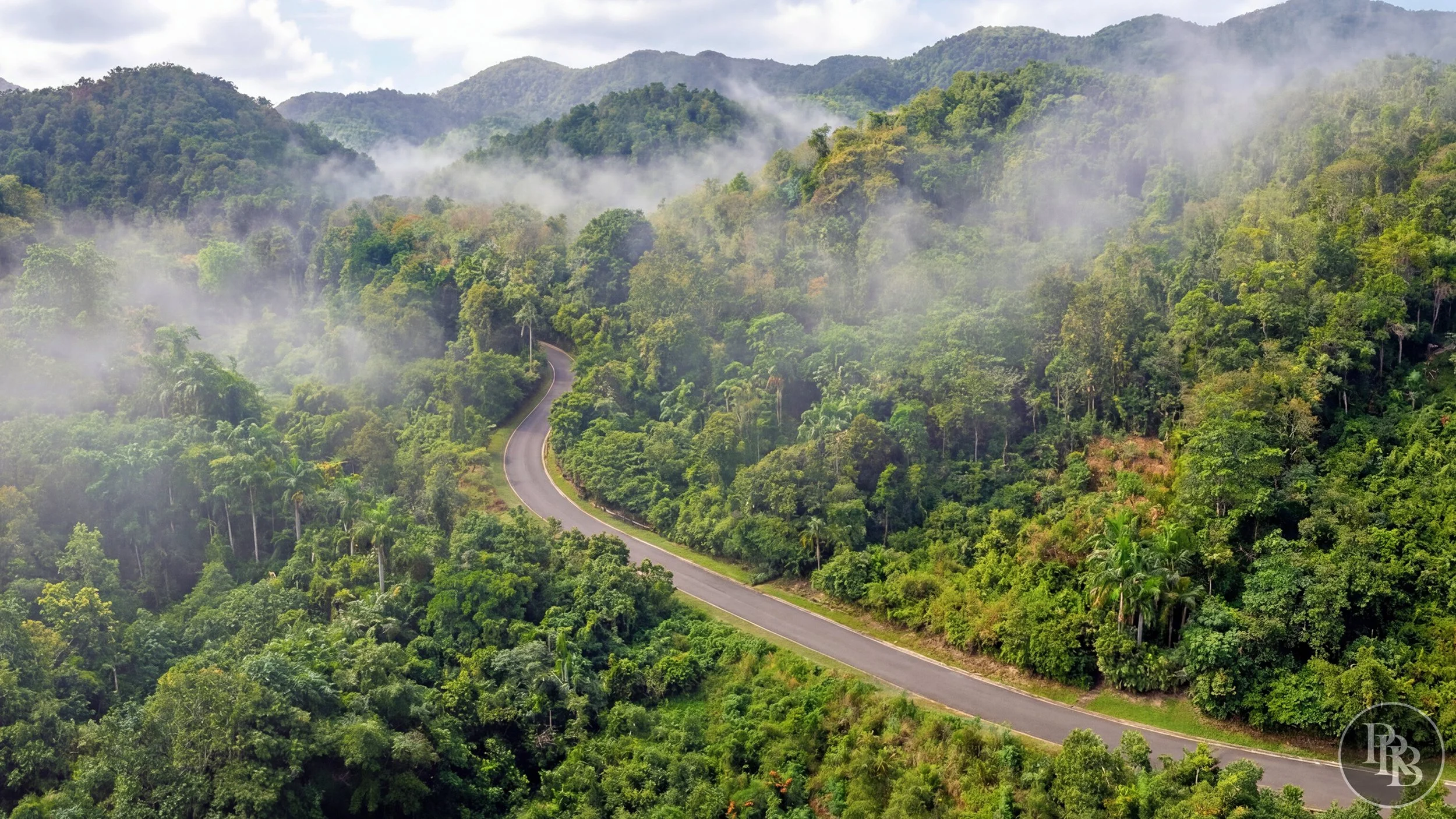 Arecibo 50 acres PRB LOGO #7.jpg
