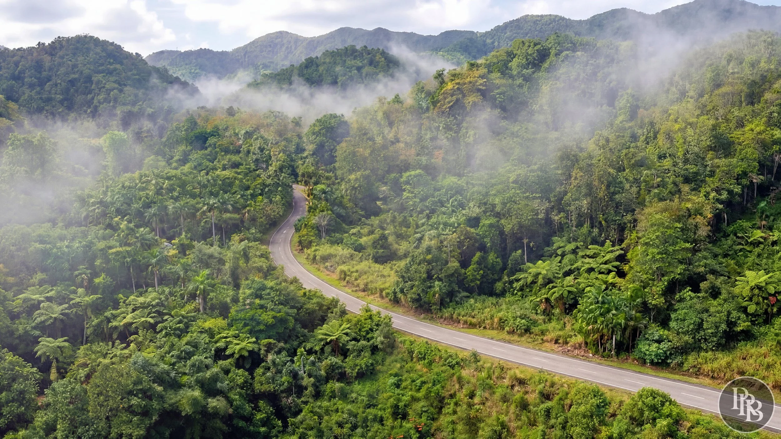 Arecibo 50 acres PRB LOGO #6.jpg