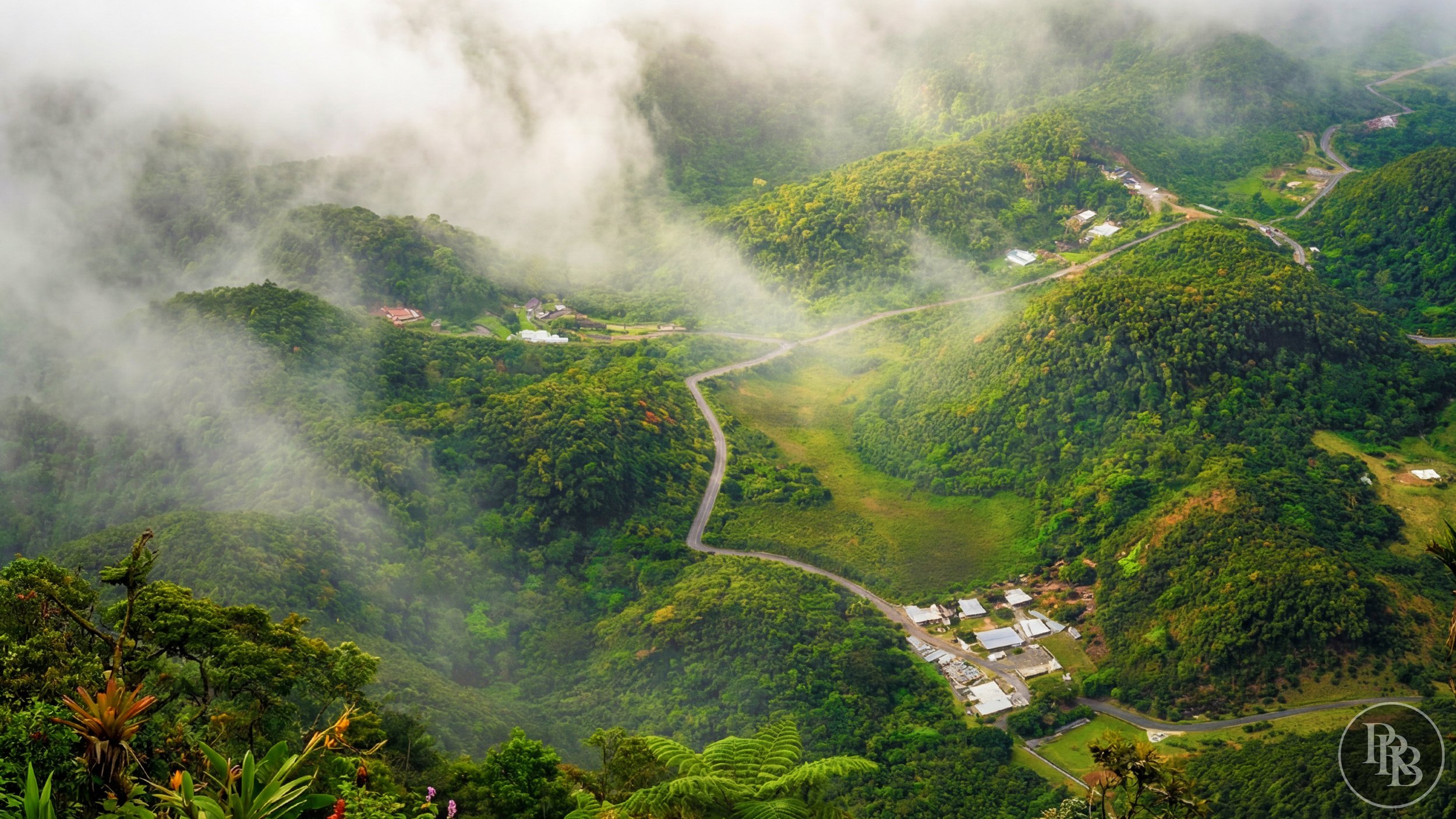 Arecibo 50 acres PRB LOGO #17.jpg