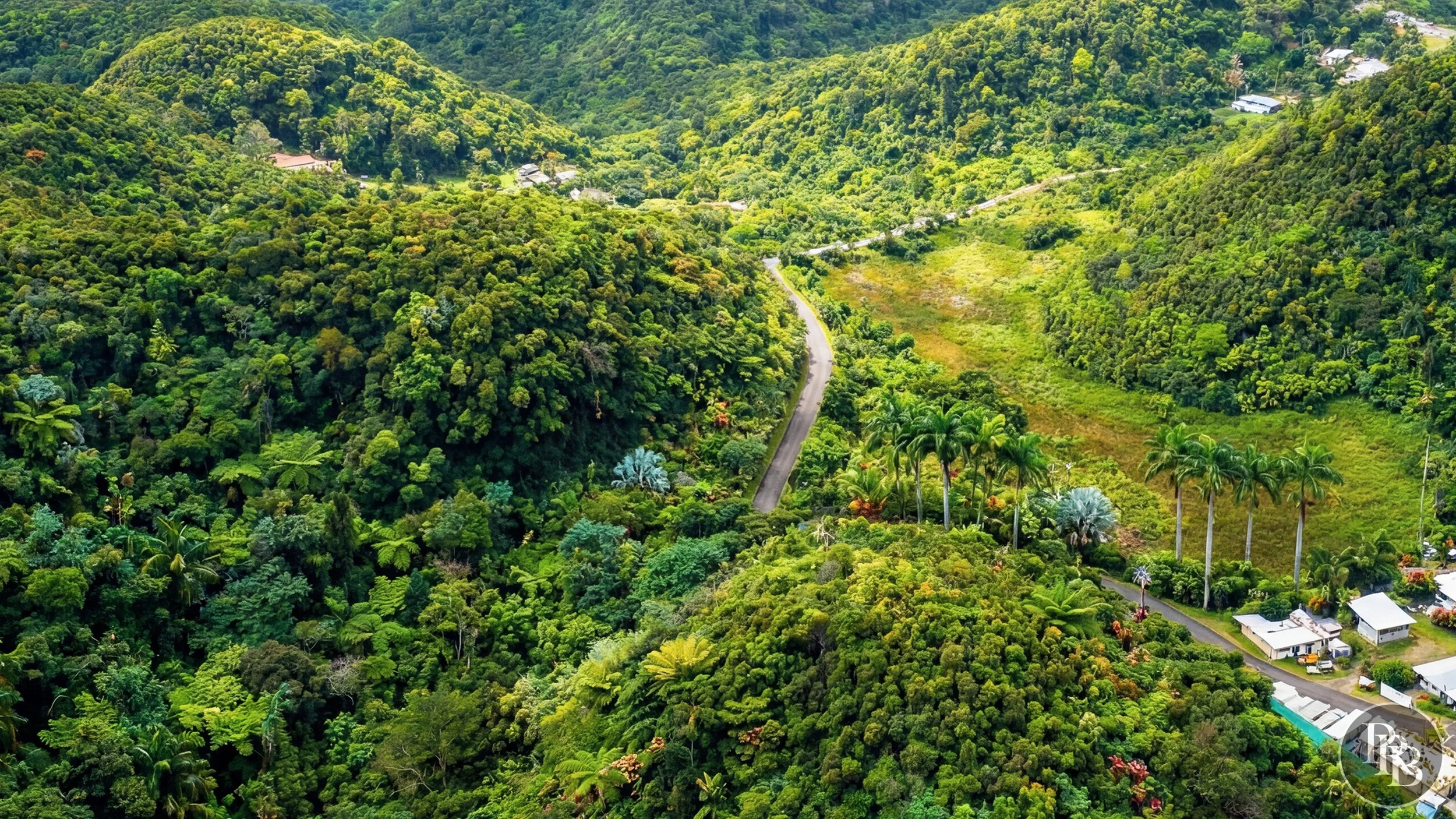 Arecibo 50 acres PRB LOGO #20.jpg