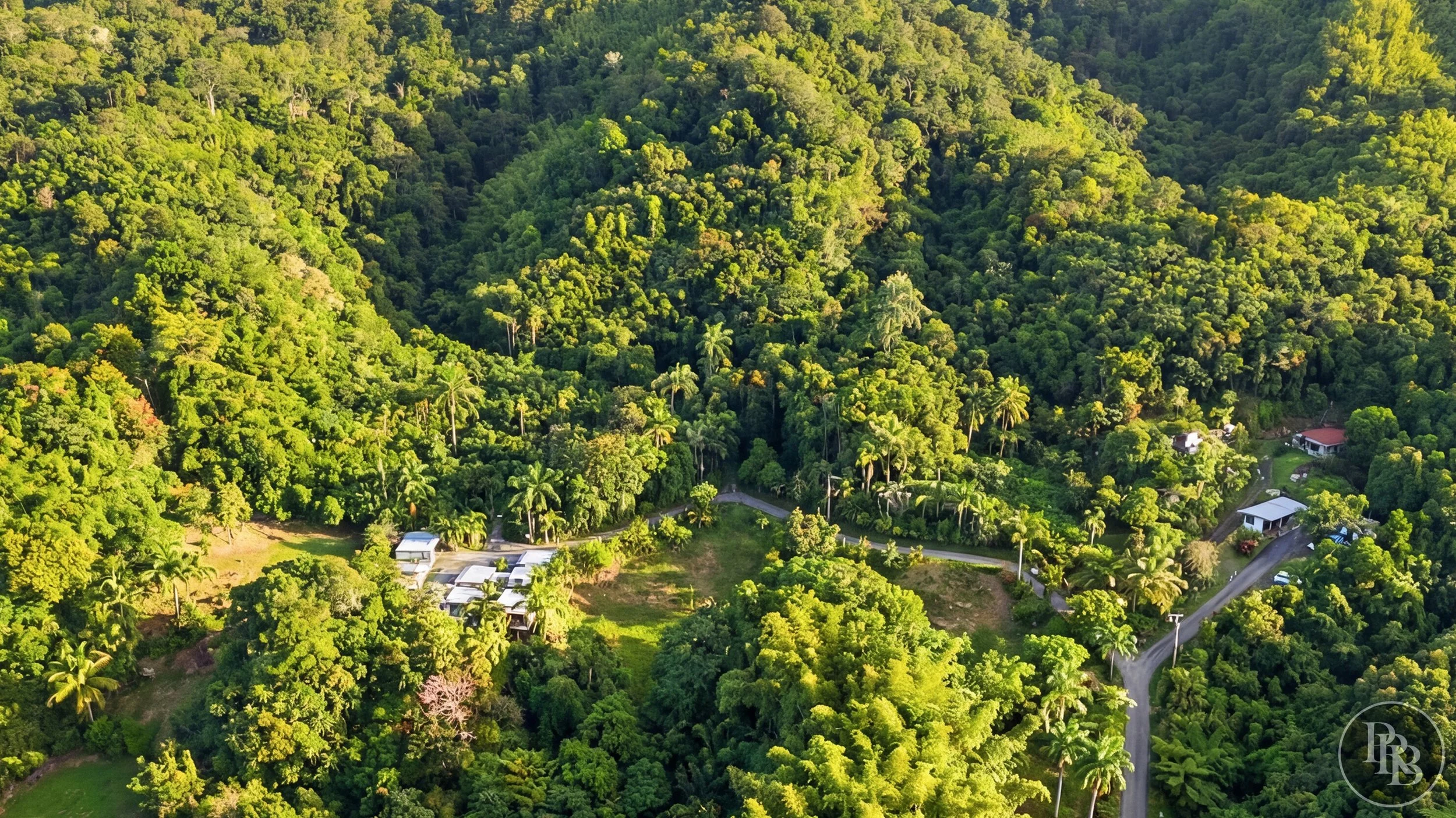 Arecibo 50 acres PRB LOGO #22.jpg